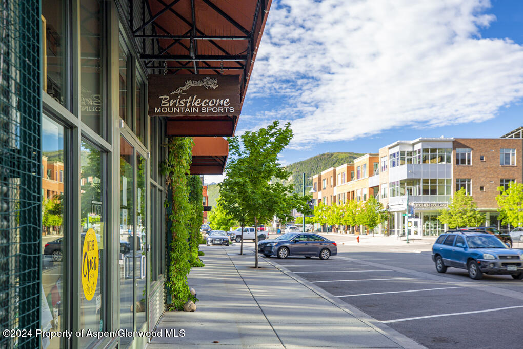 231 Robinson Street Basalt CO 81621