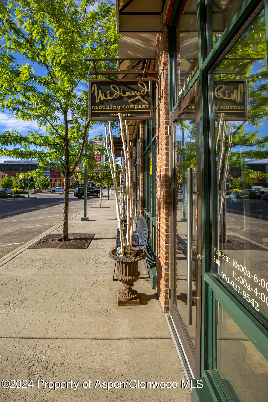 231 Robinson Street Basalt CO 81621