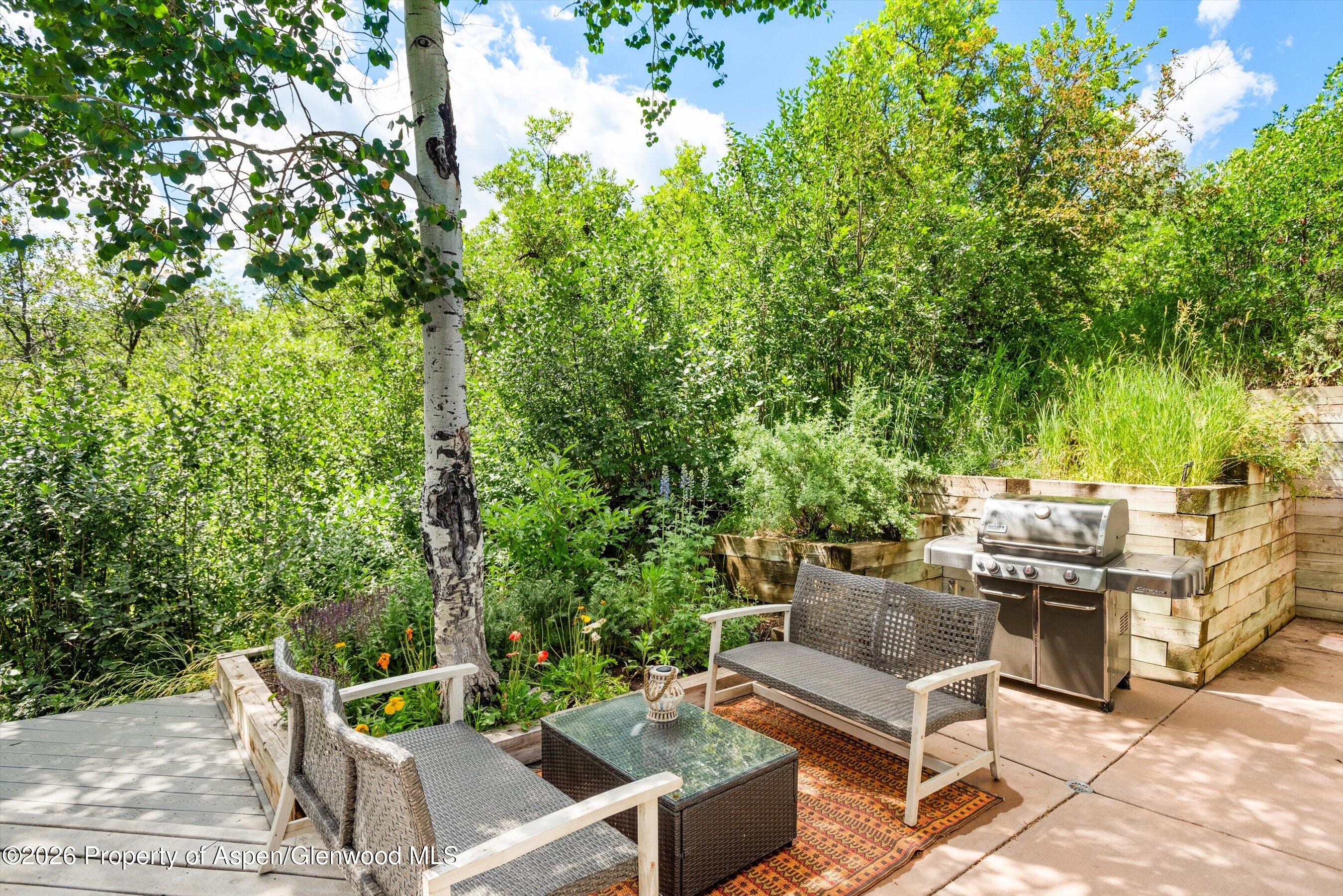 845 Aspen Oak Drive Aspen CO 81611