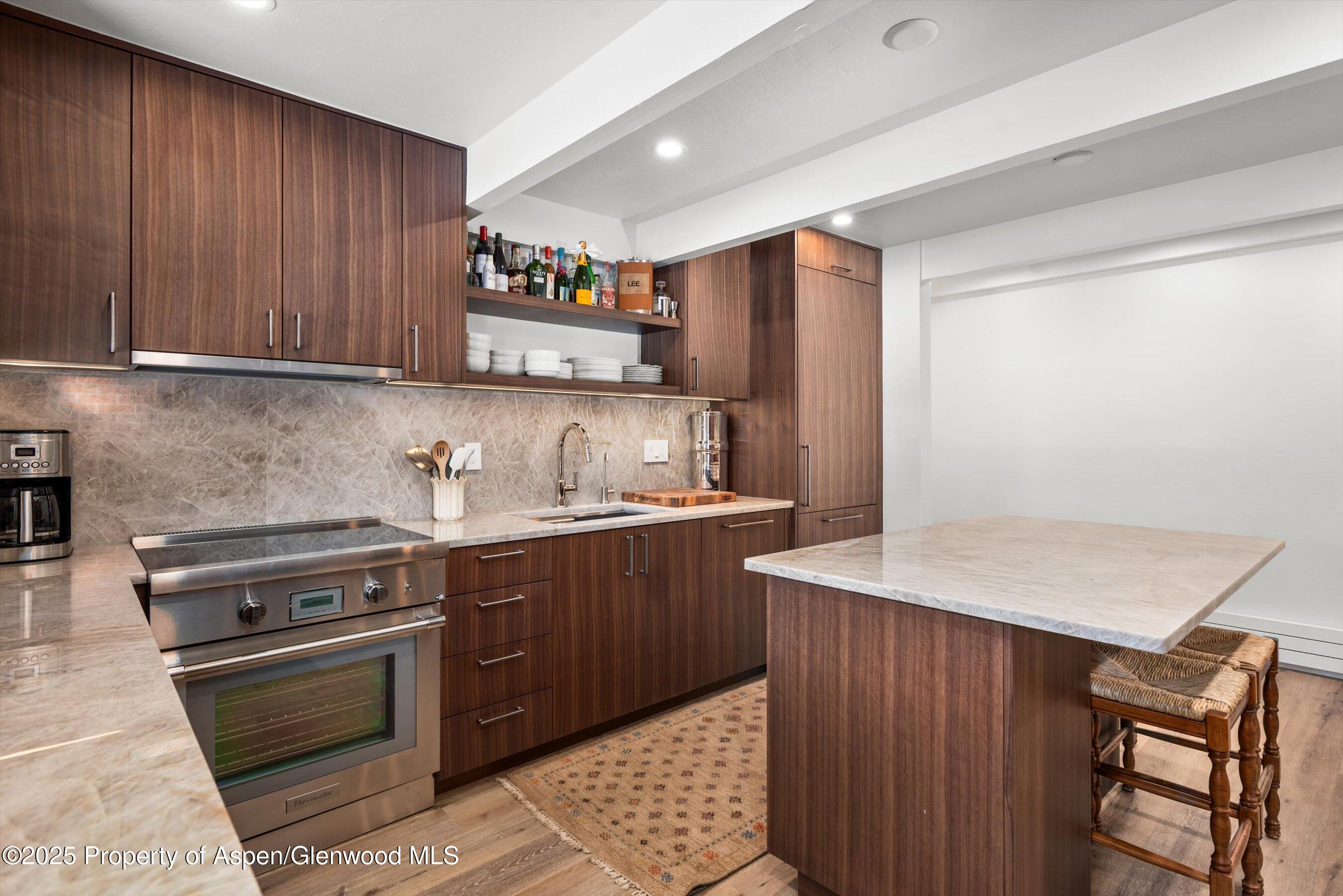 901 E Hyman Avenue Aspen CO 81611