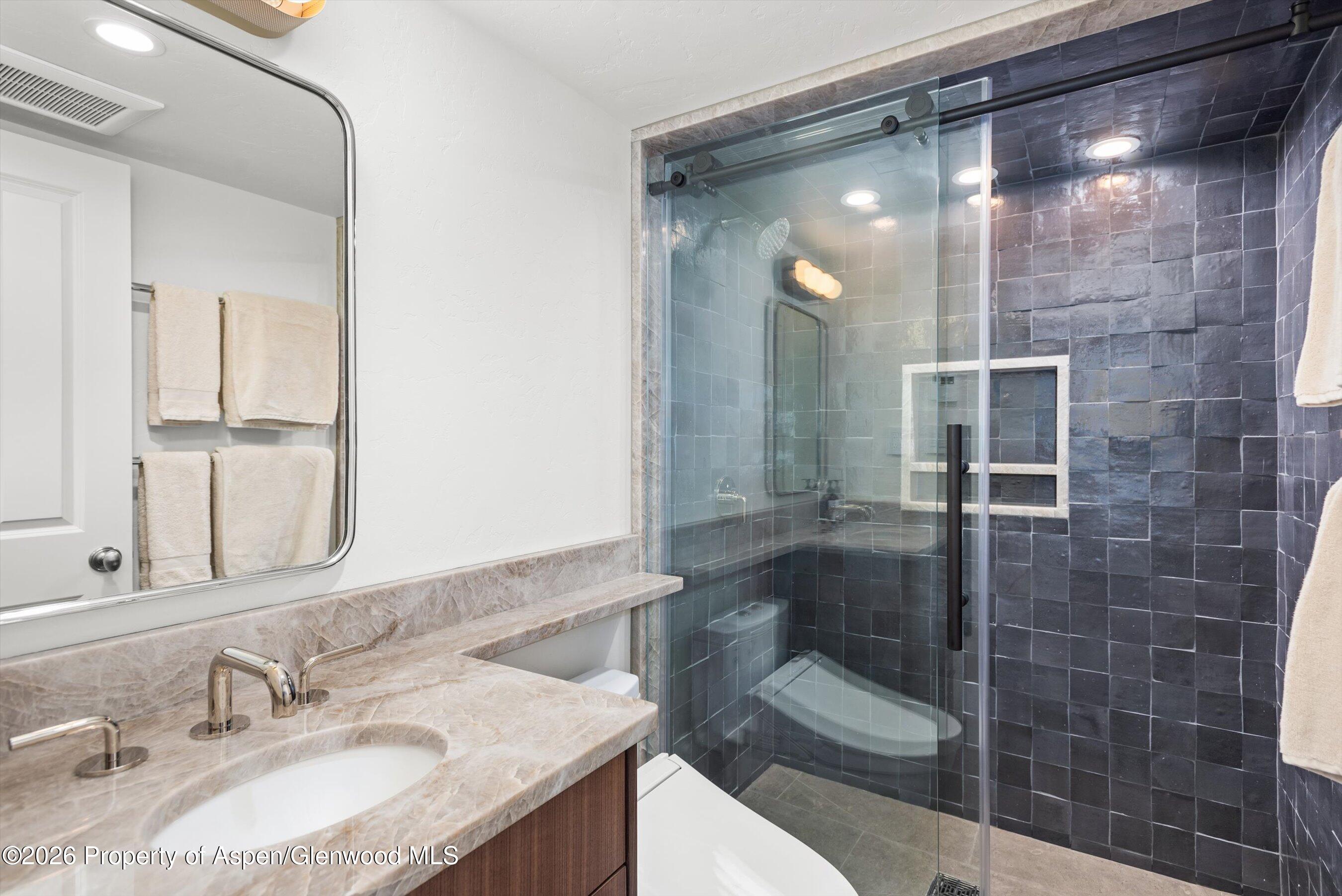 901 E Hyman Avenue Aspen CO 81611
