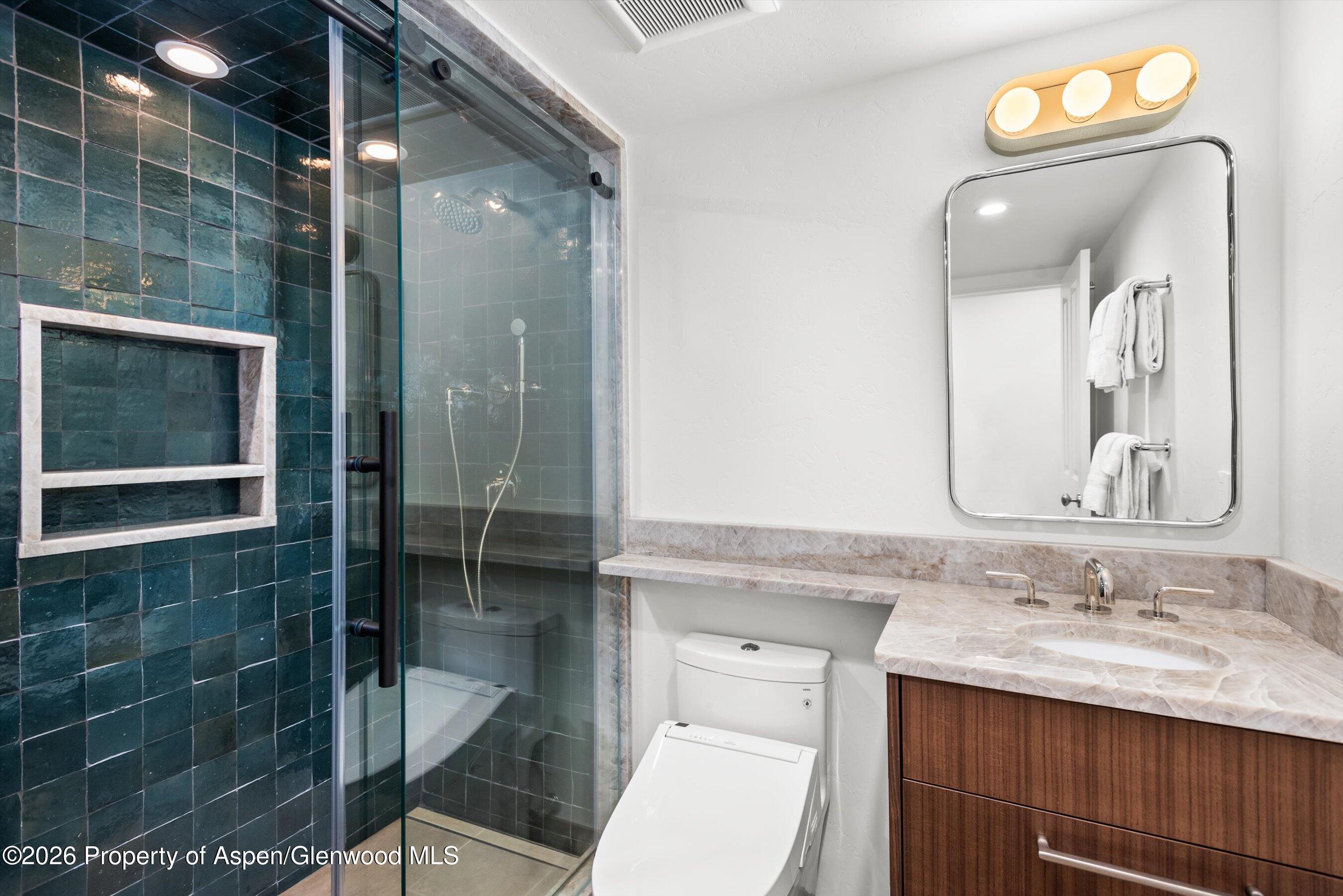 901 E Hyman Avenue Aspen CO 81611