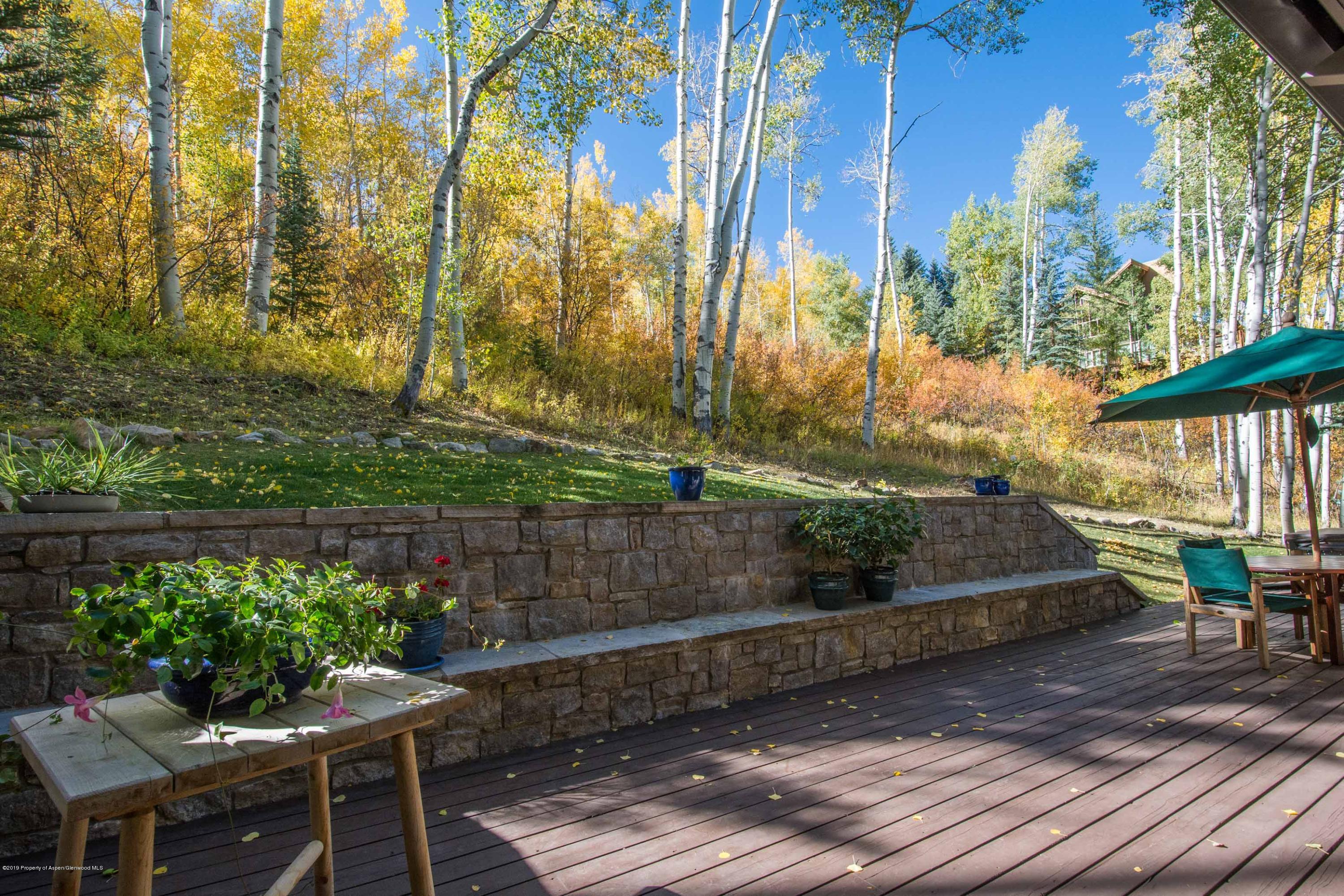 623 Faraway Road Snowmass Village CO 81615