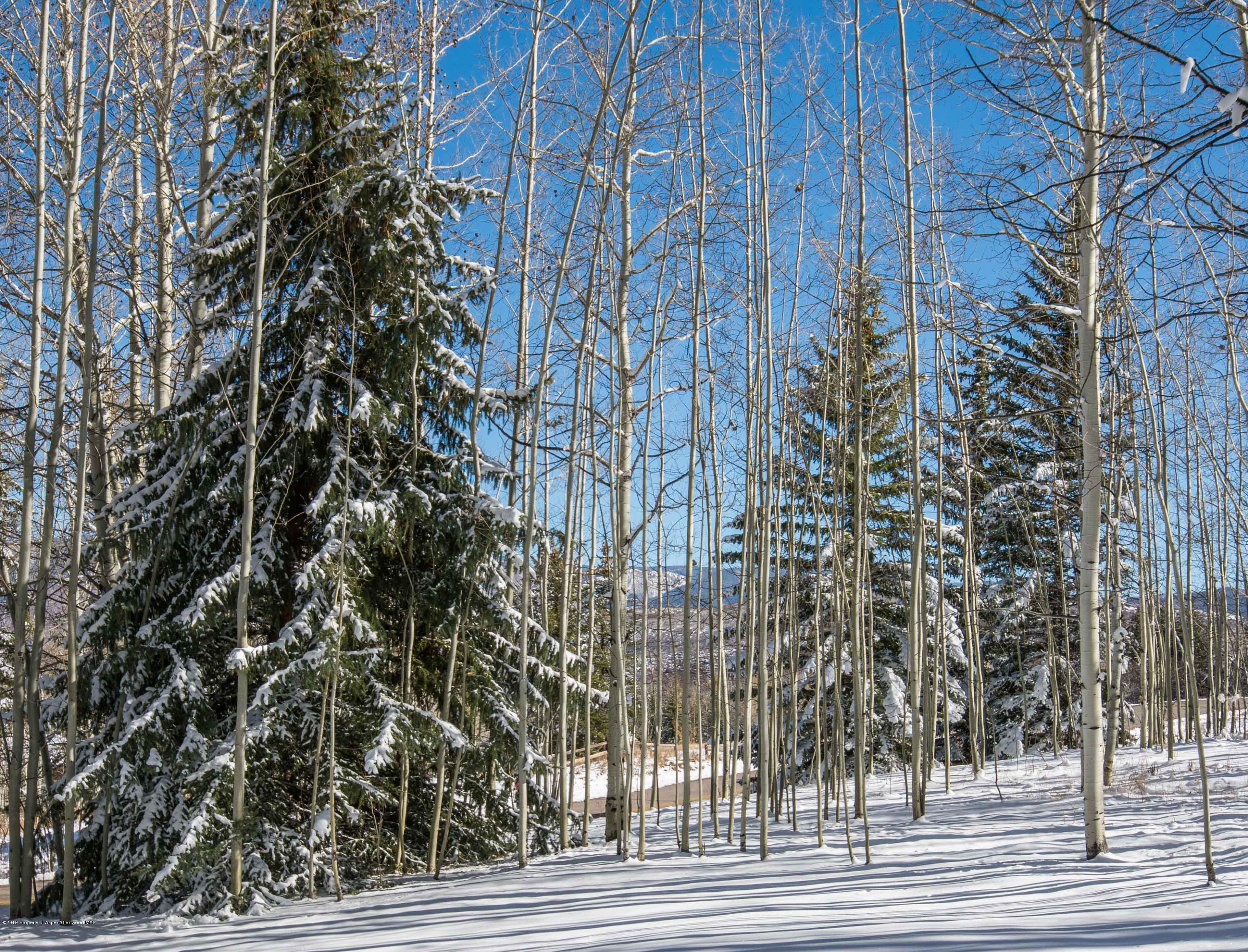 623 Faraway Road Snowmass Village CO 81615