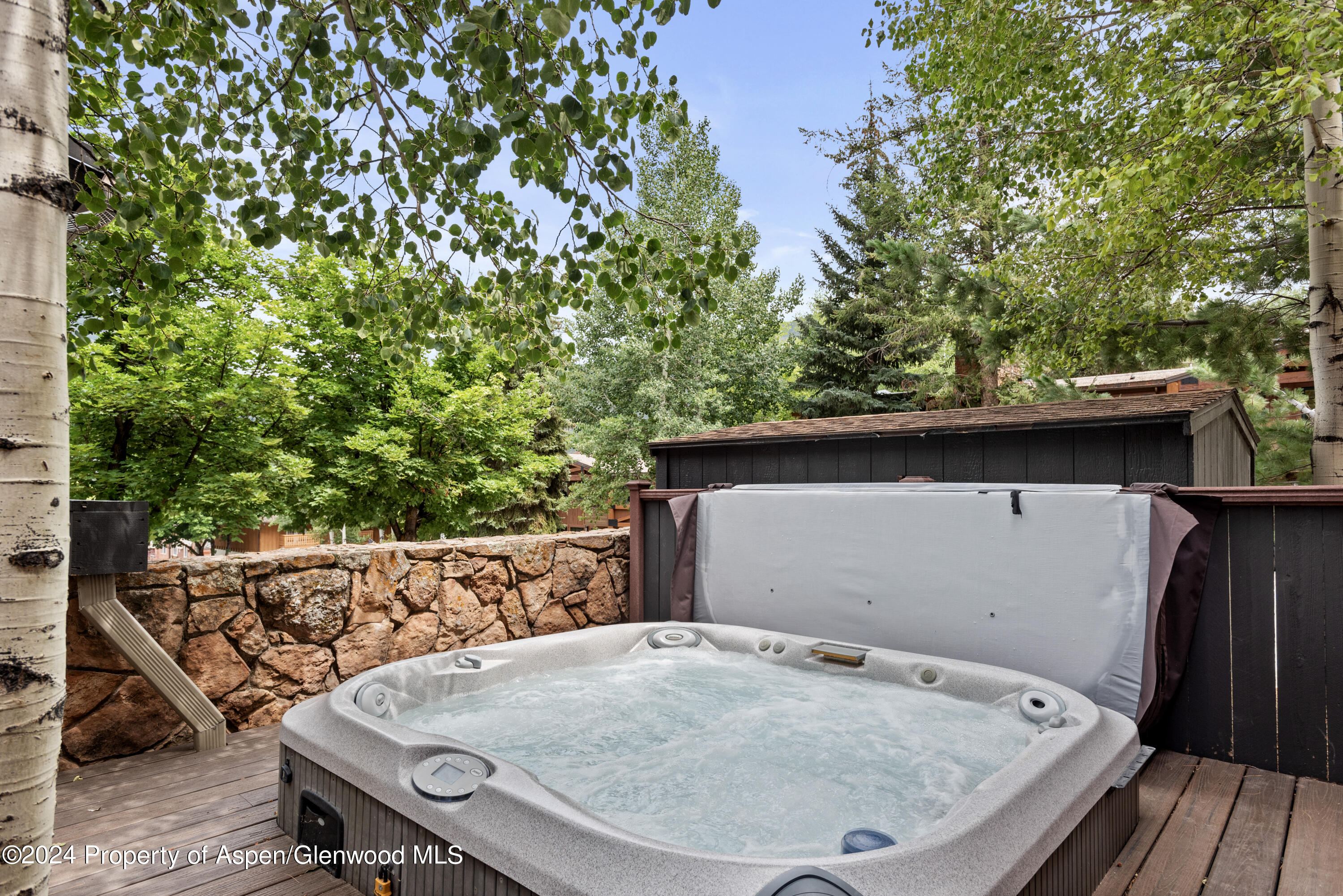 731 S Mill Street Aspen CO 81611