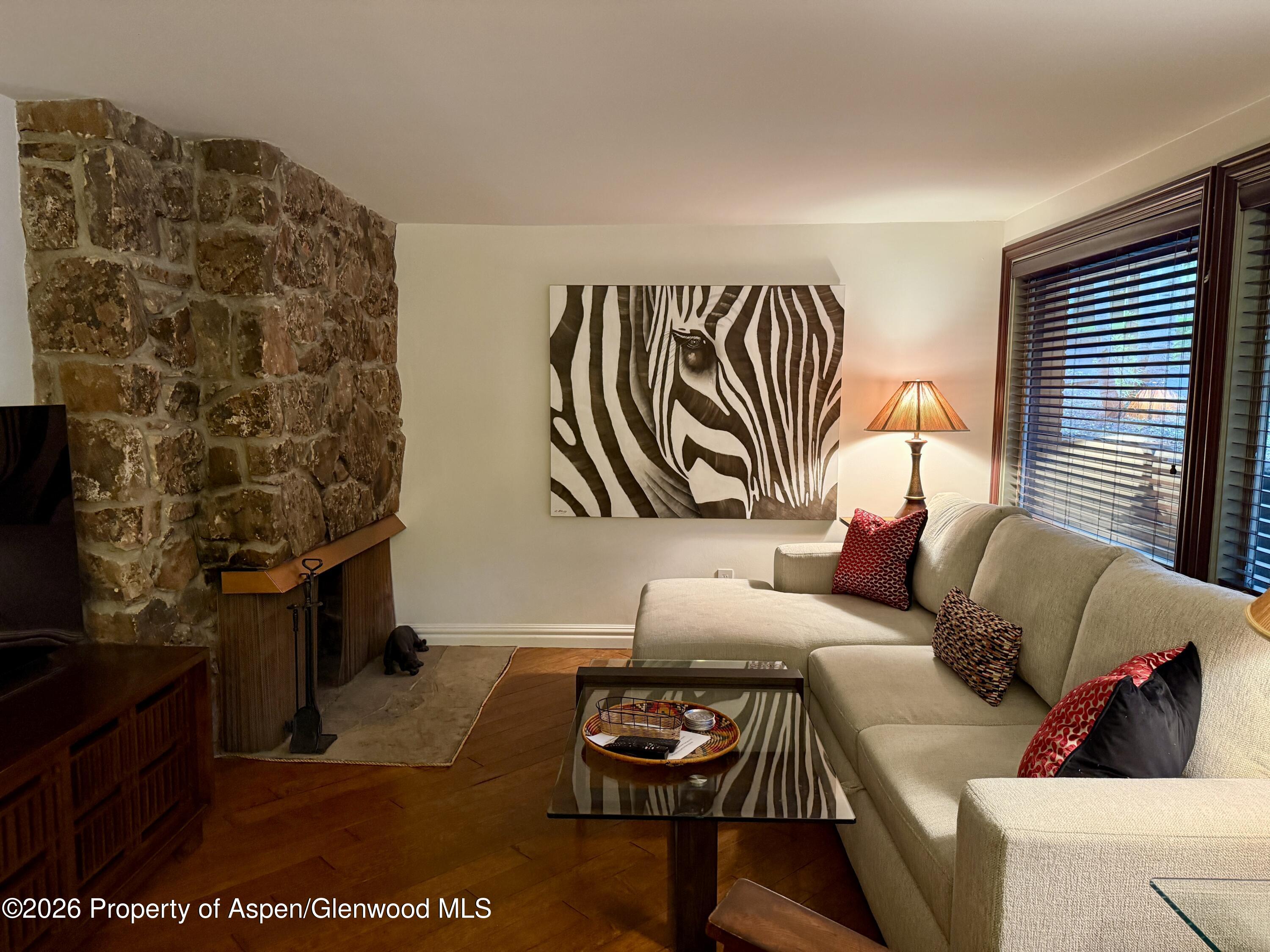 731 S Mill Street Aspen CO 81611