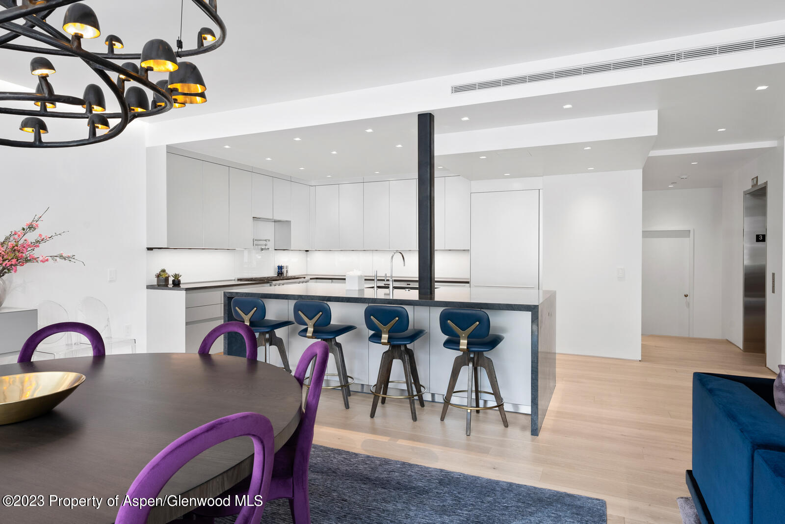 508 E Cooper Avenue Aspen CO 81611