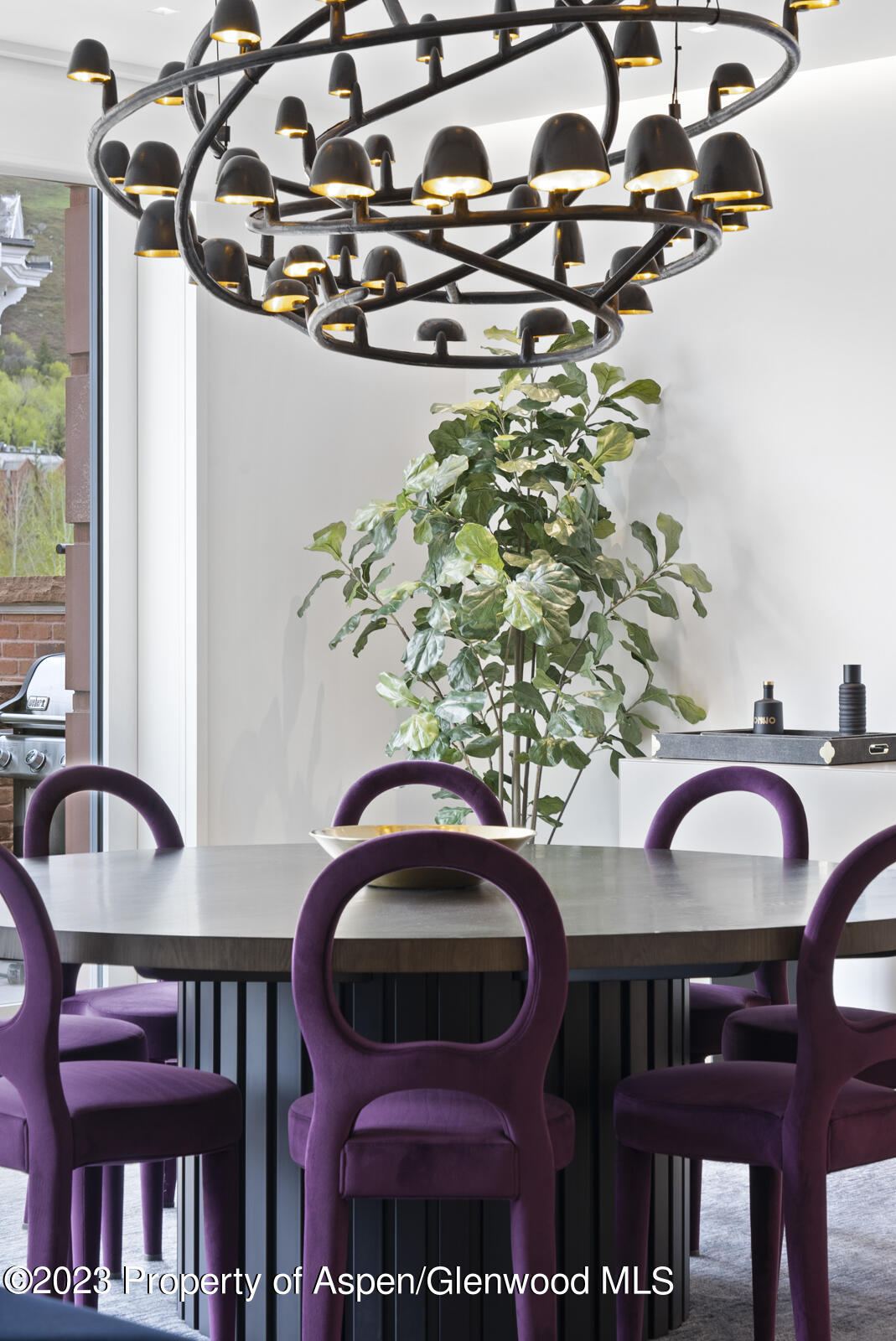 508 E Cooper Avenue Aspen CO 81611