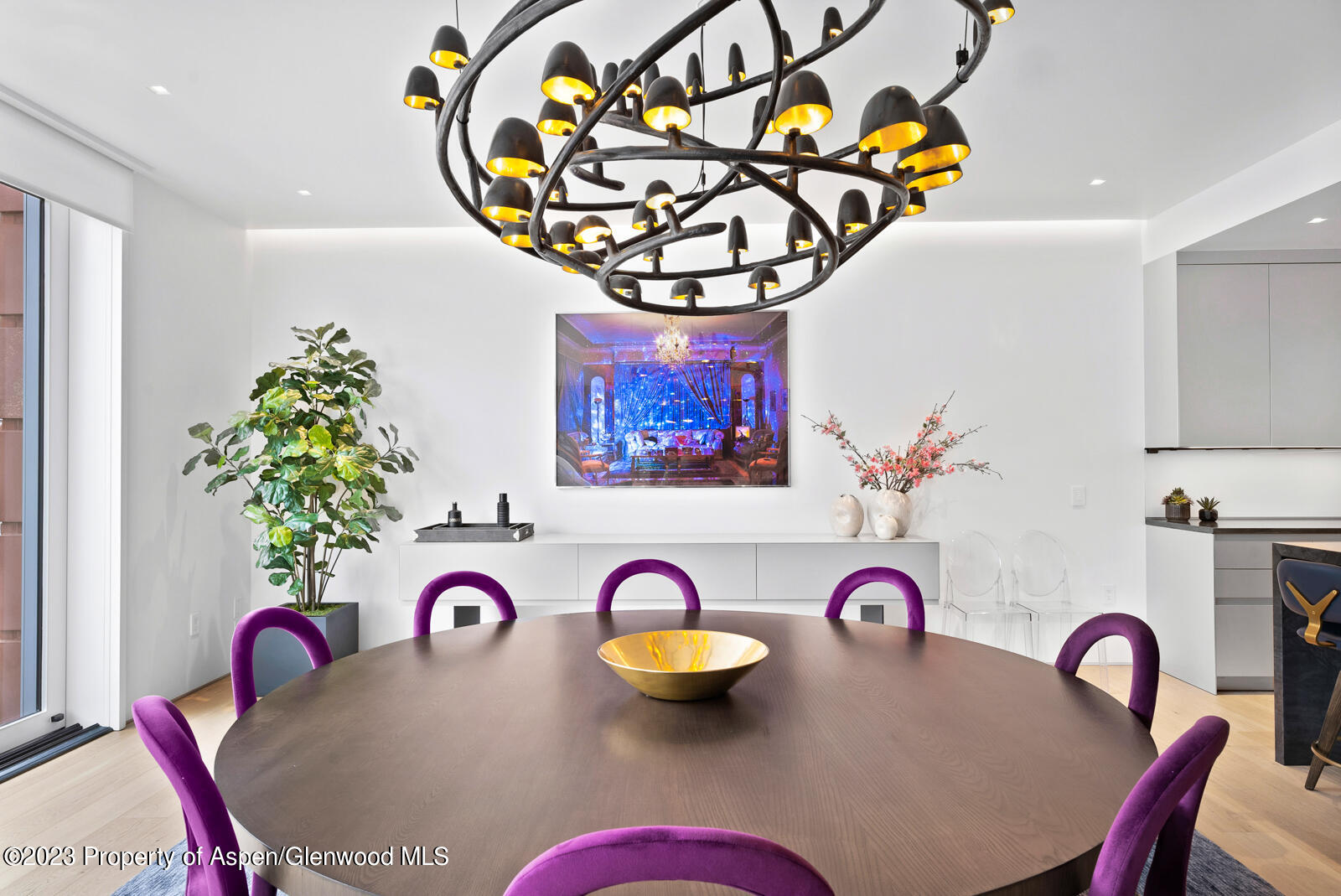 508 E Cooper Avenue Aspen CO 81611