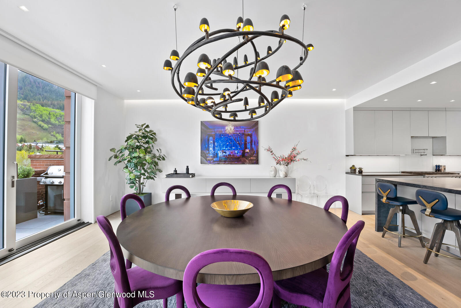 508 E Cooper Avenue Aspen CO 81611