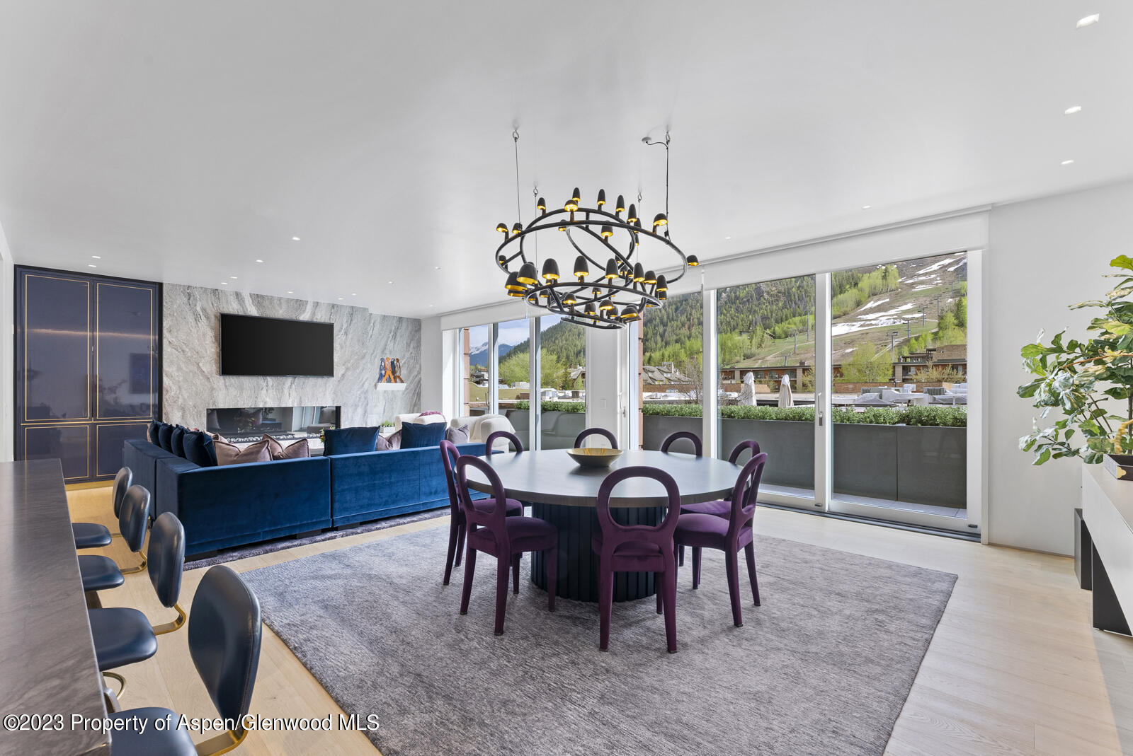 508 E Cooper Avenue Aspen CO 81611