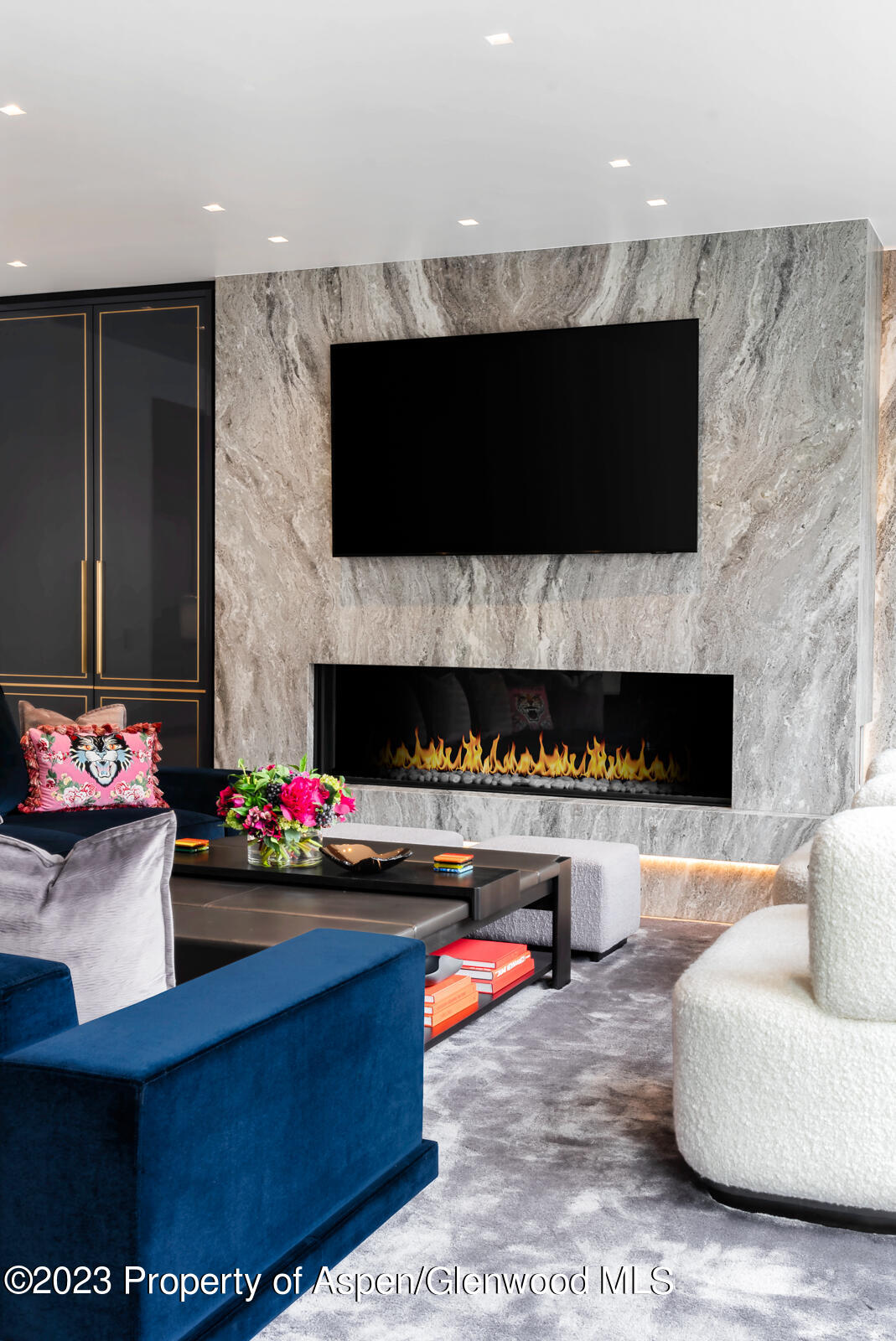 508 E Cooper Avenue Aspen CO 81611