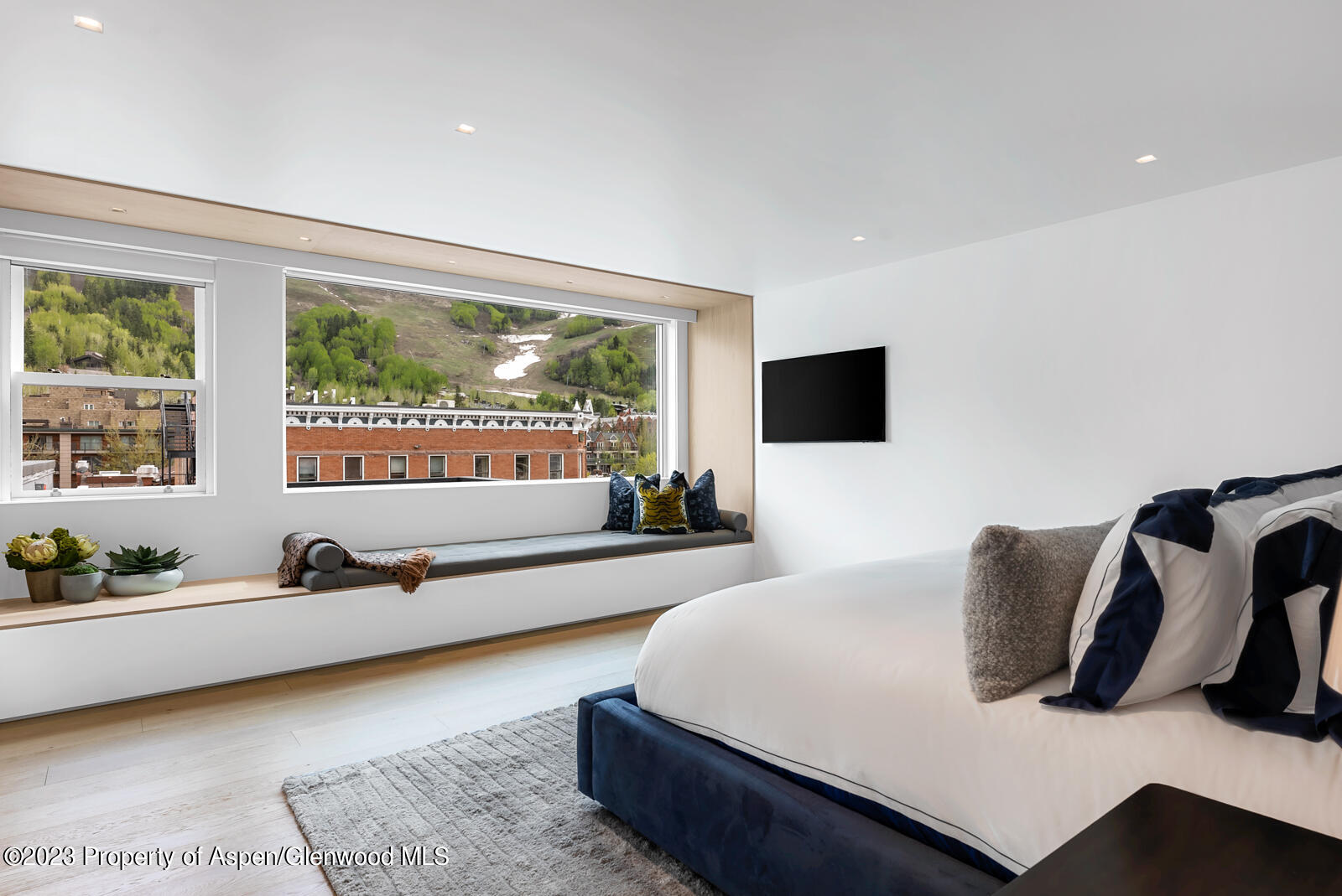 508 E Cooper Avenue Aspen CO 81611