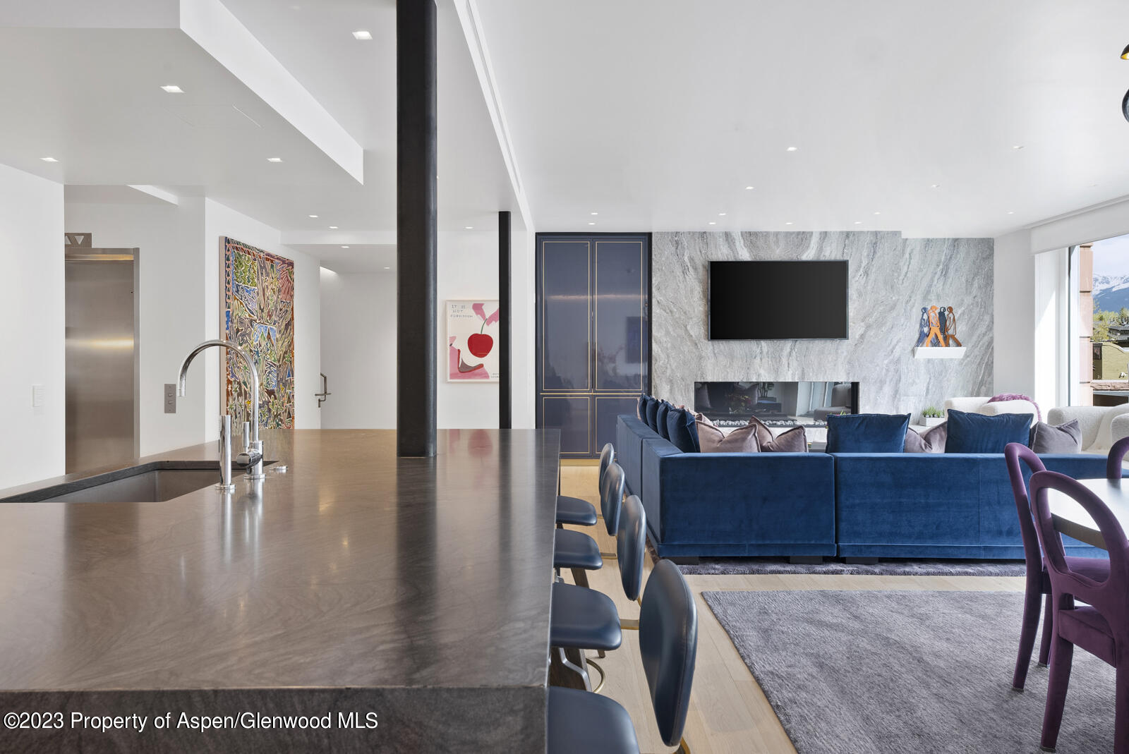 508 E Cooper Avenue Aspen CO 81611