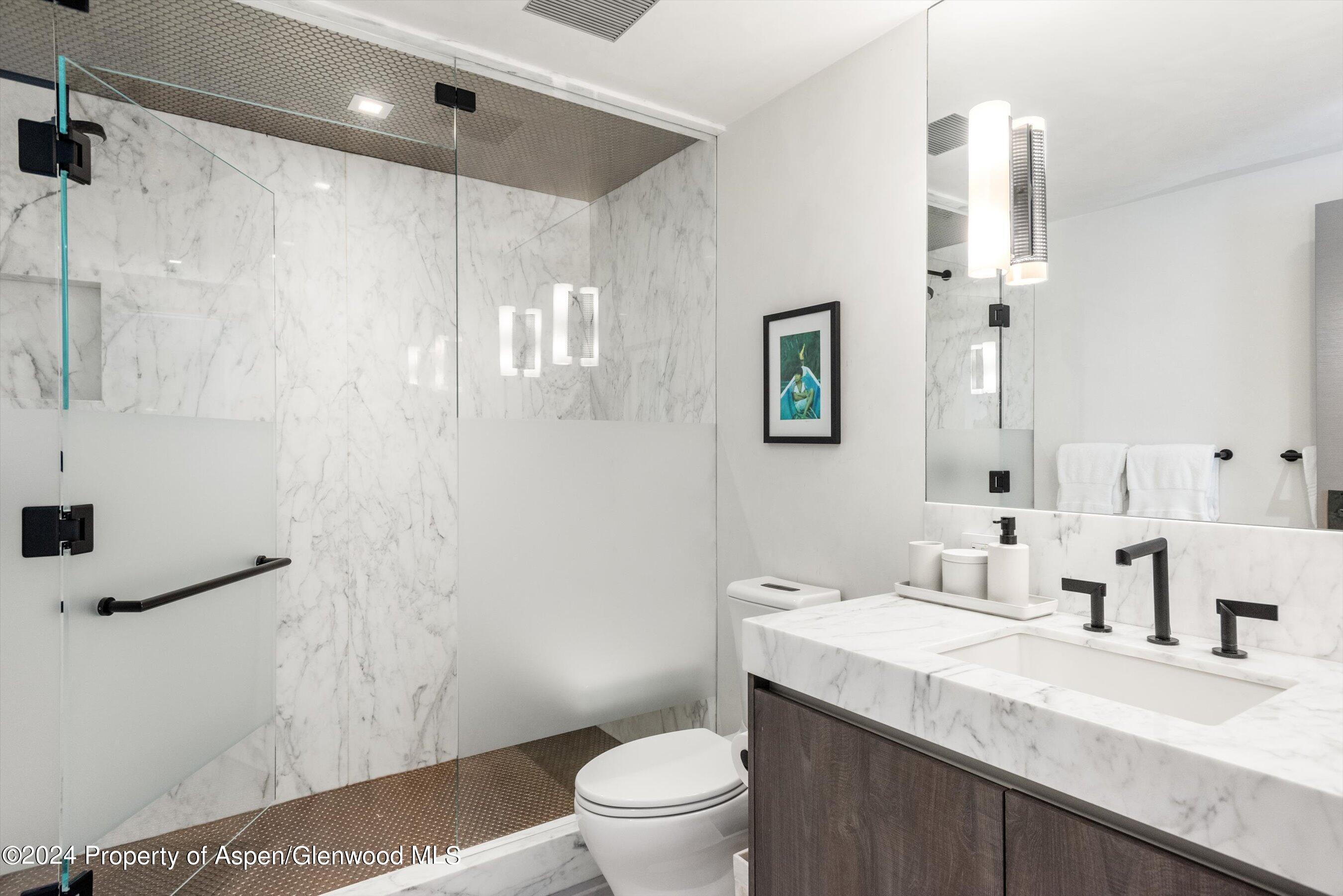 131 W Bleeker Street Aspen CO 81611