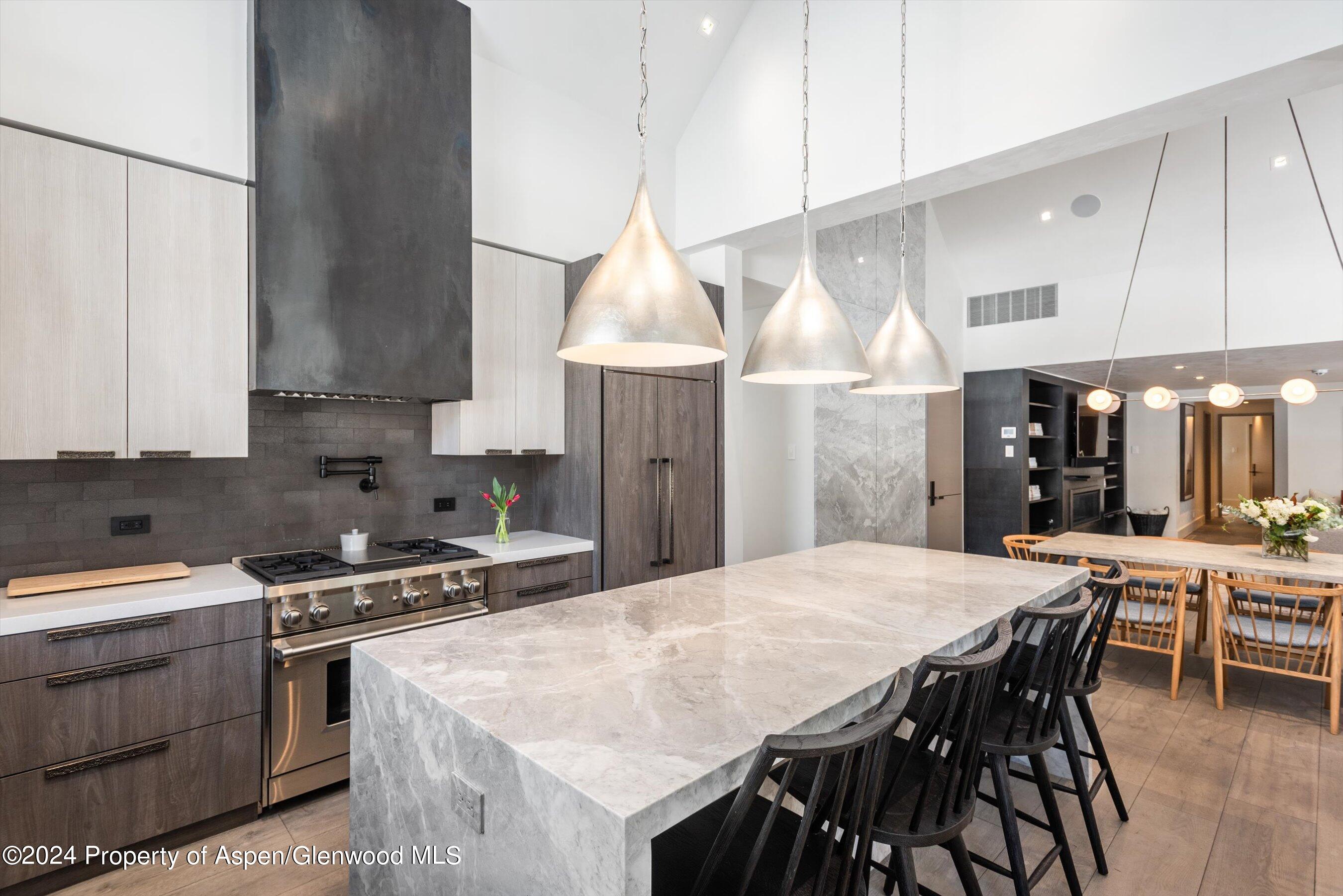 131 W Bleeker Street Aspen CO 81611