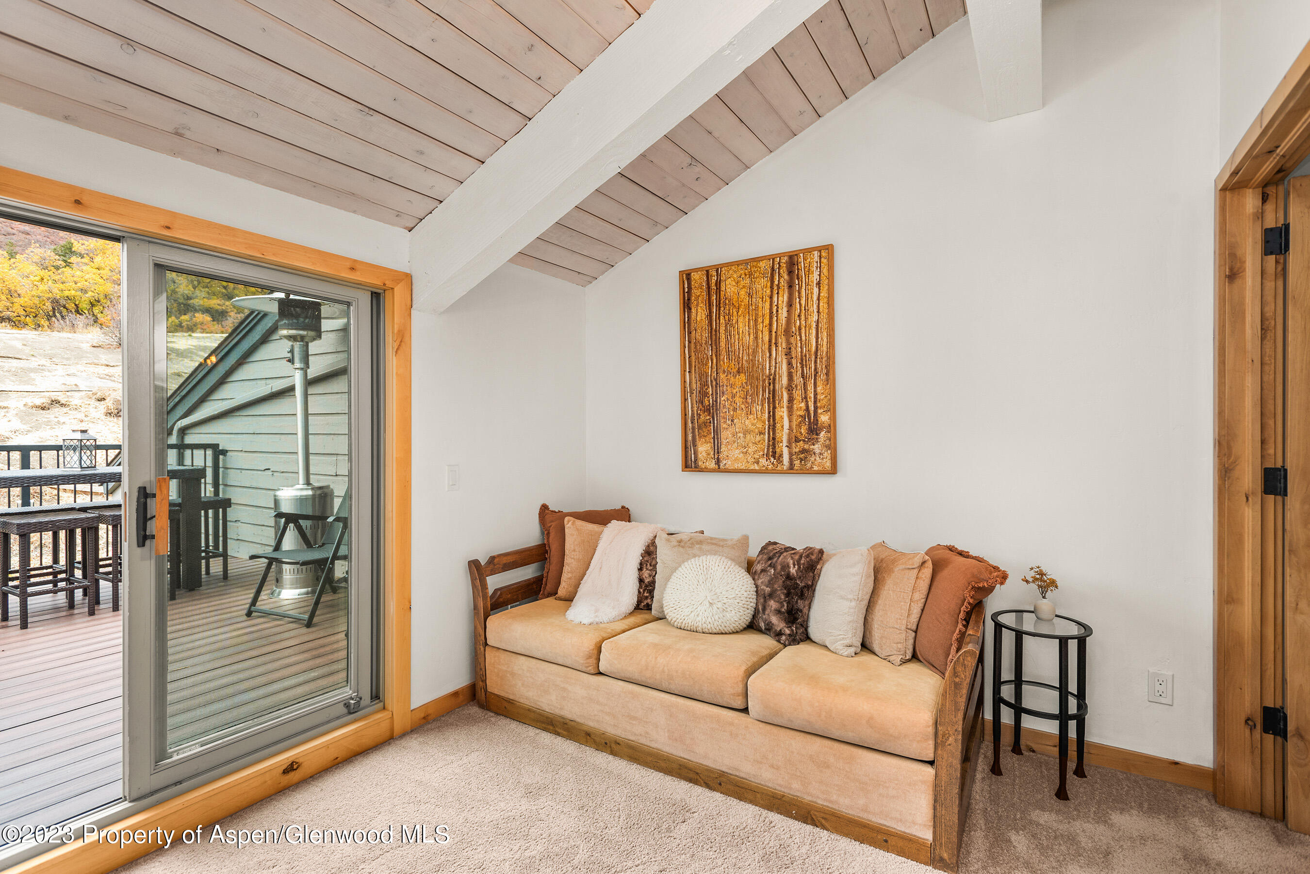 55 Upper Woodbridge Road Snowmass Village CO 81615