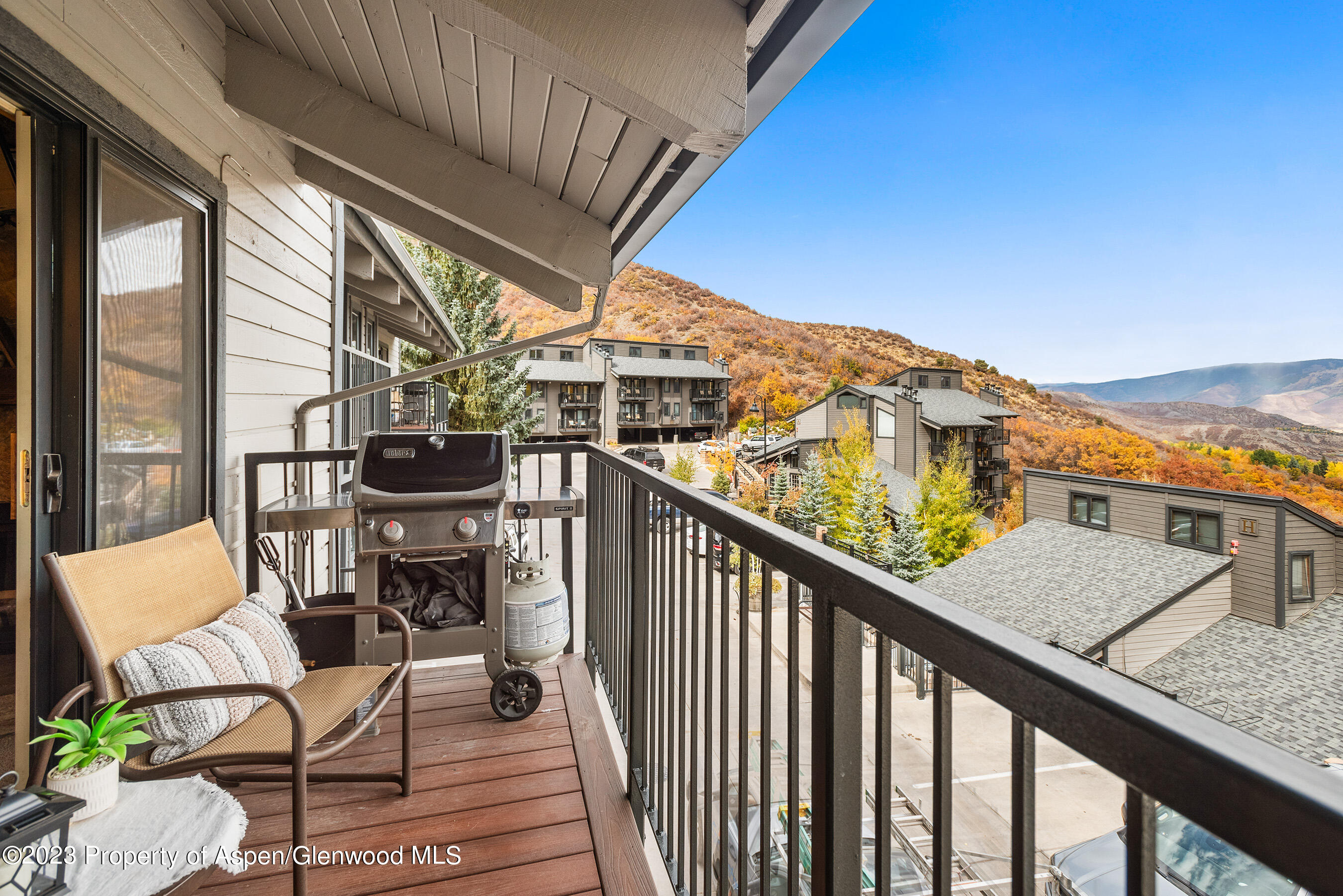 55 Upper Woodbridge Road Snowmass Village CO 81615