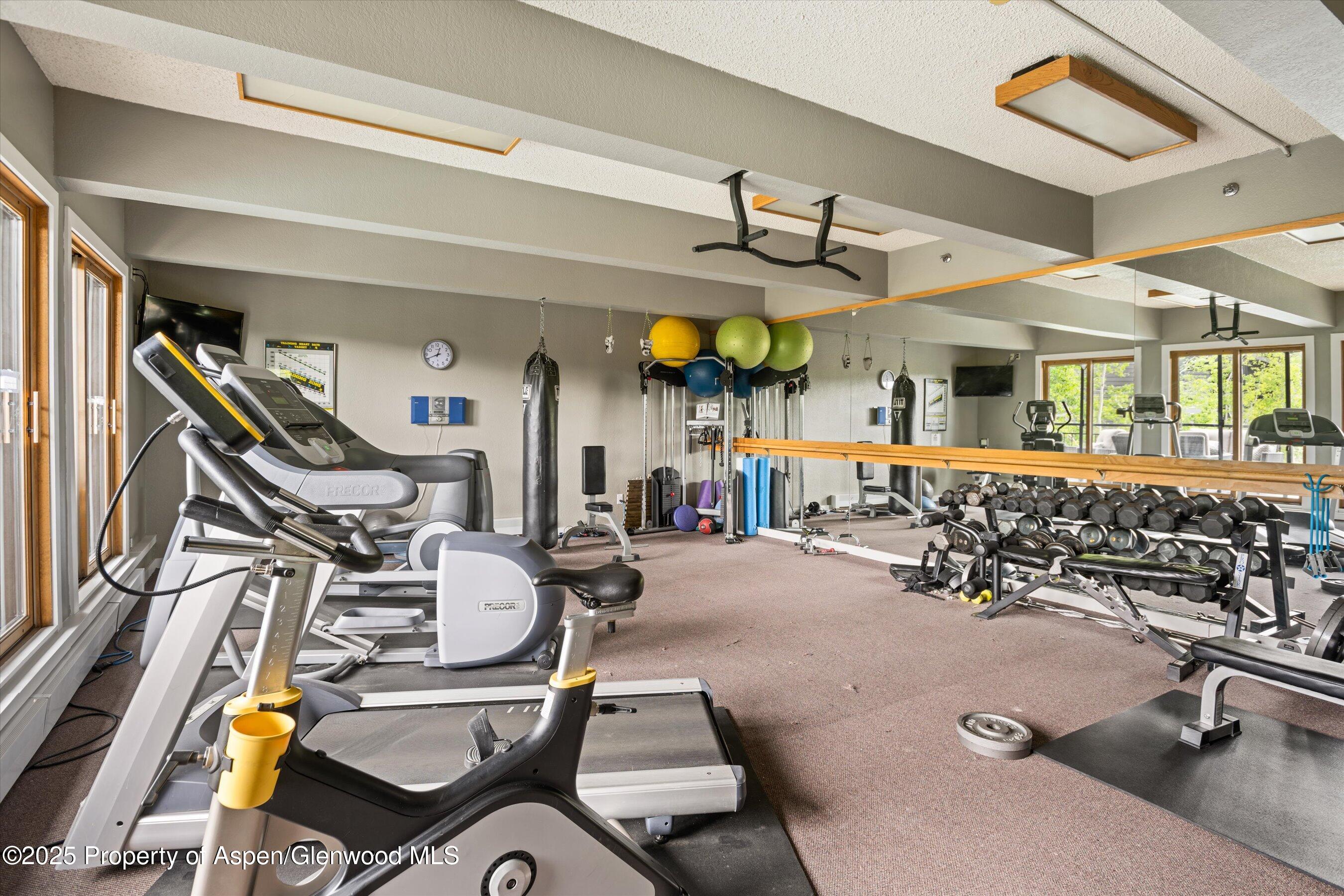 55 Upper Woodbridge Road Snowmass Village CO 81615