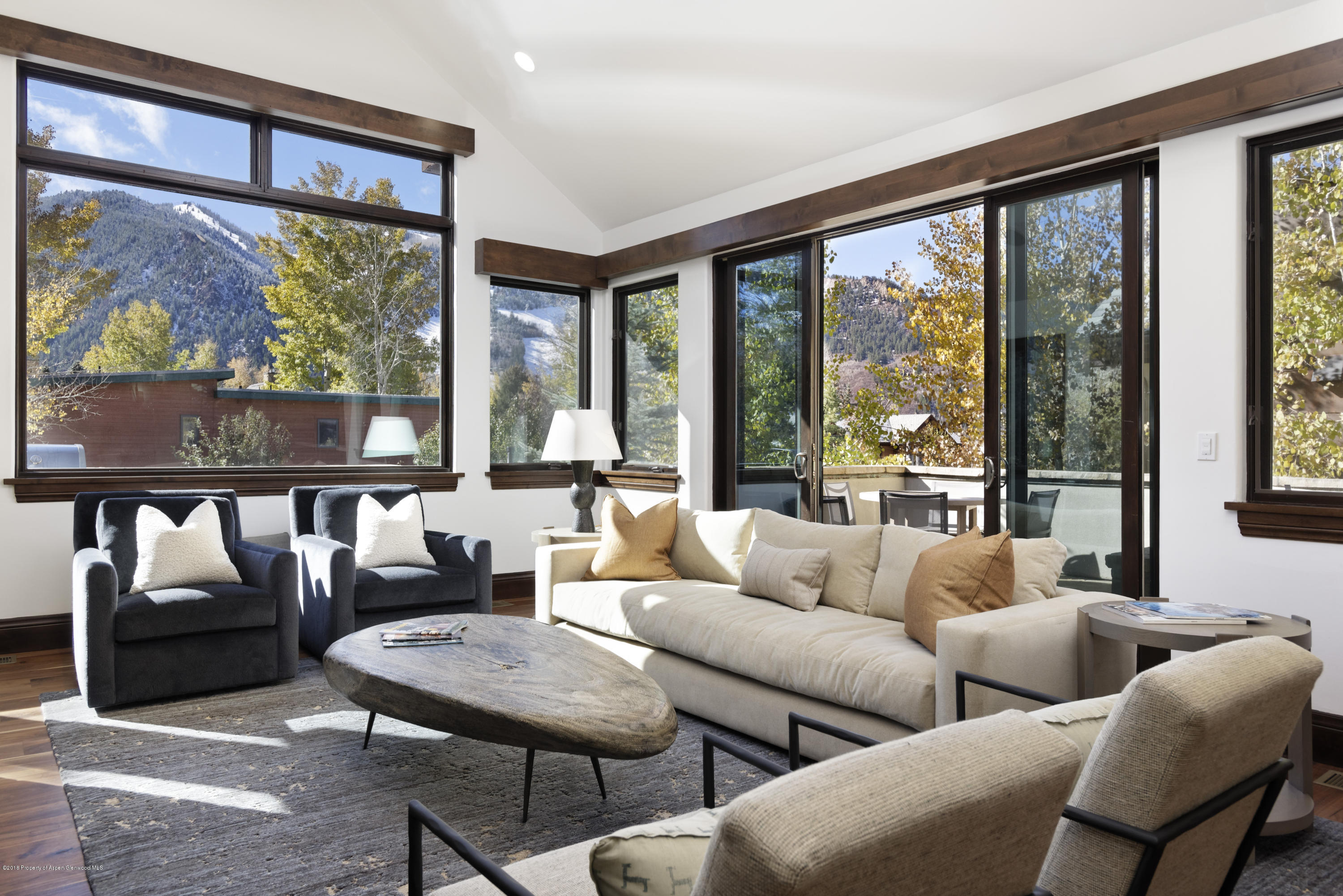 566 Race Street Aspen CO 81611