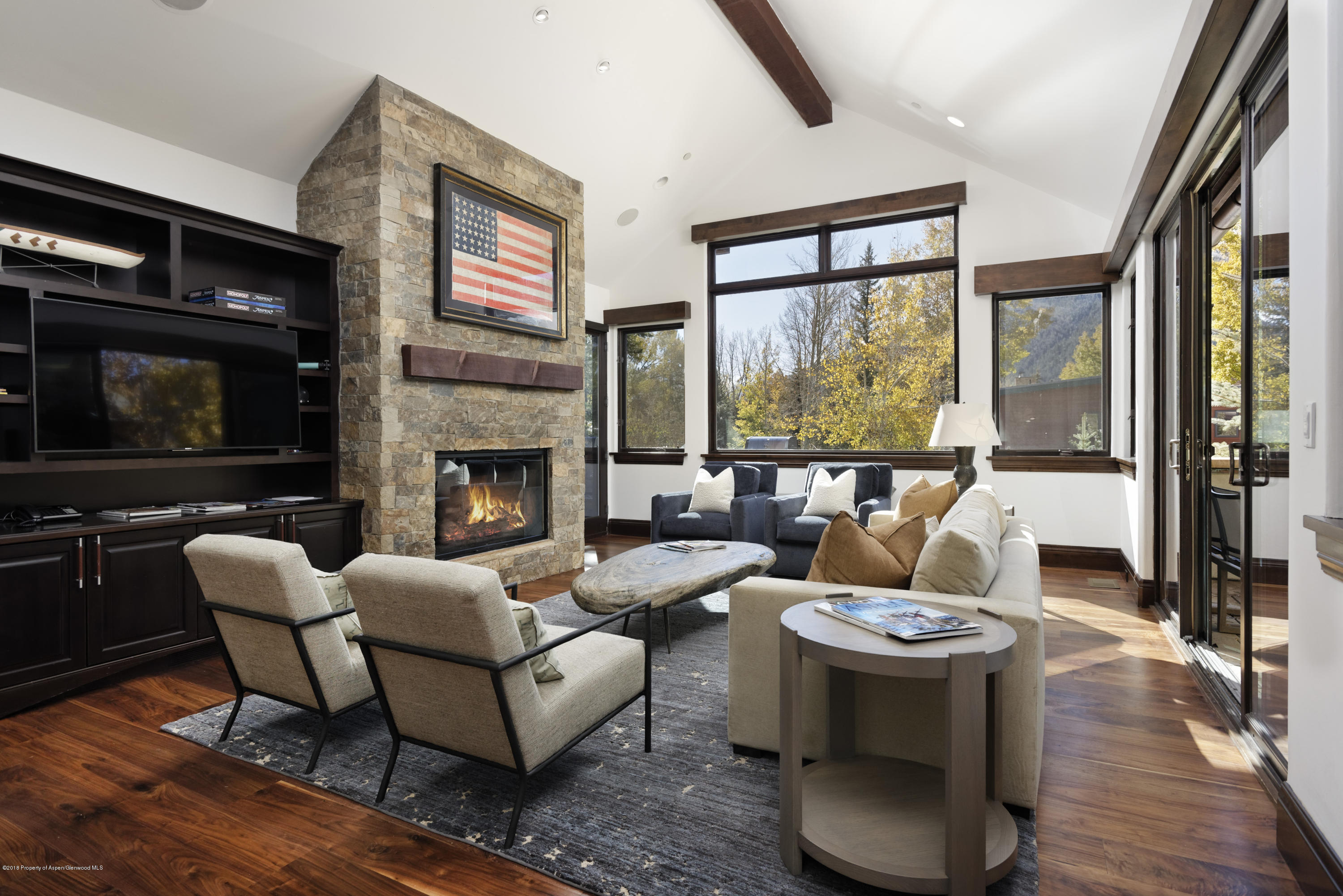 566 Race Street Aspen CO 81611