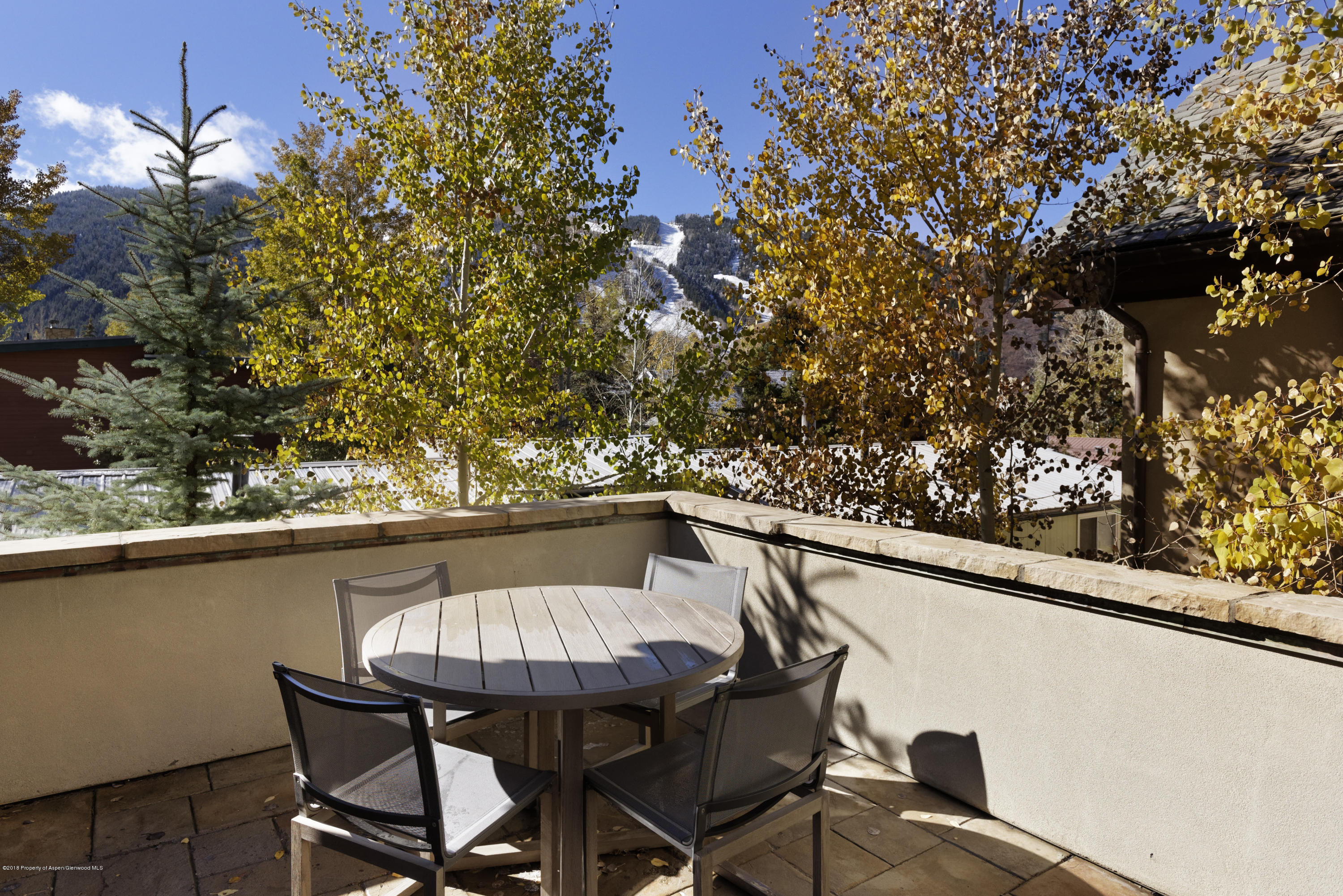 566 Race Street Aspen CO 81611