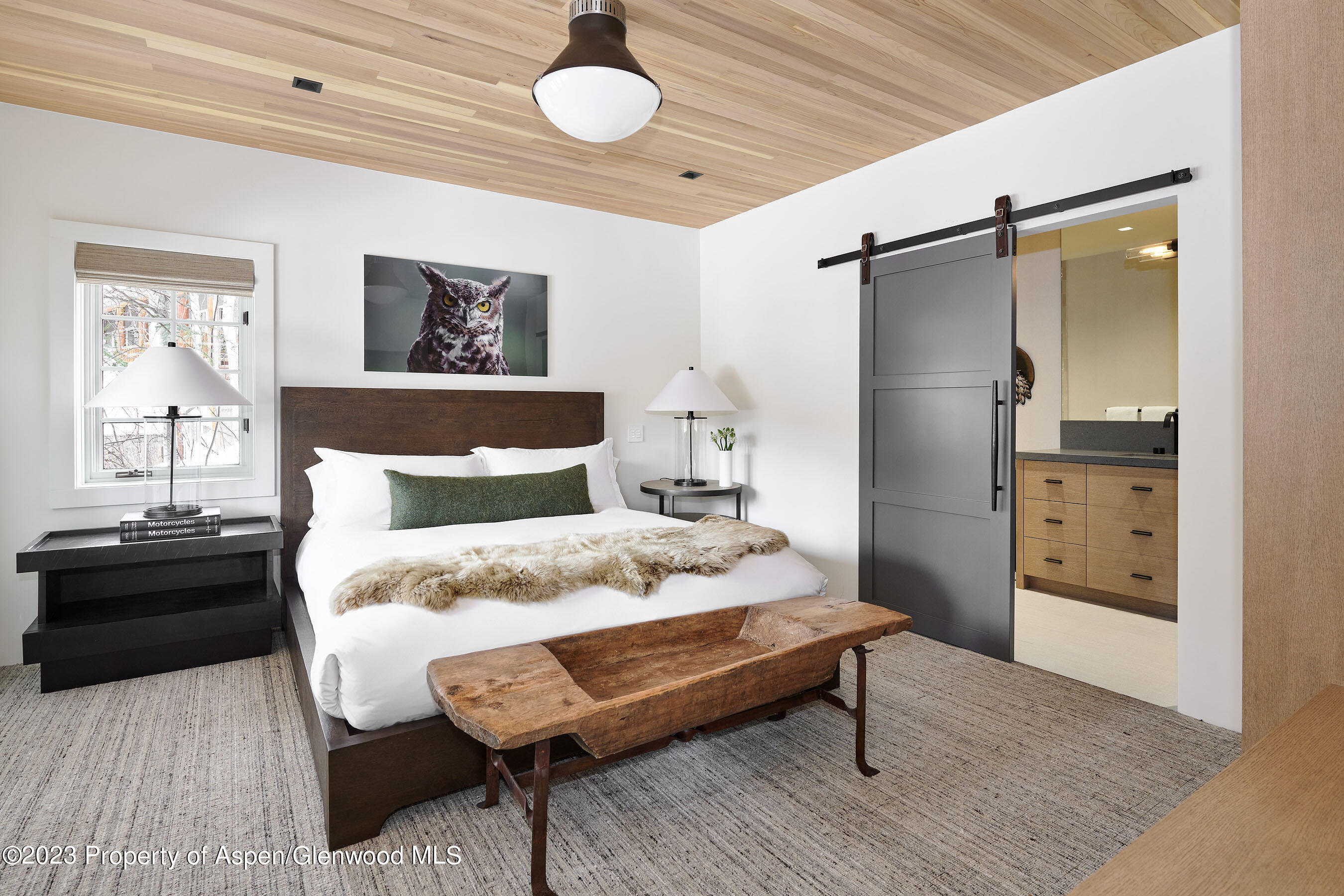 1271 Ute Avenue Aspen CO 81611