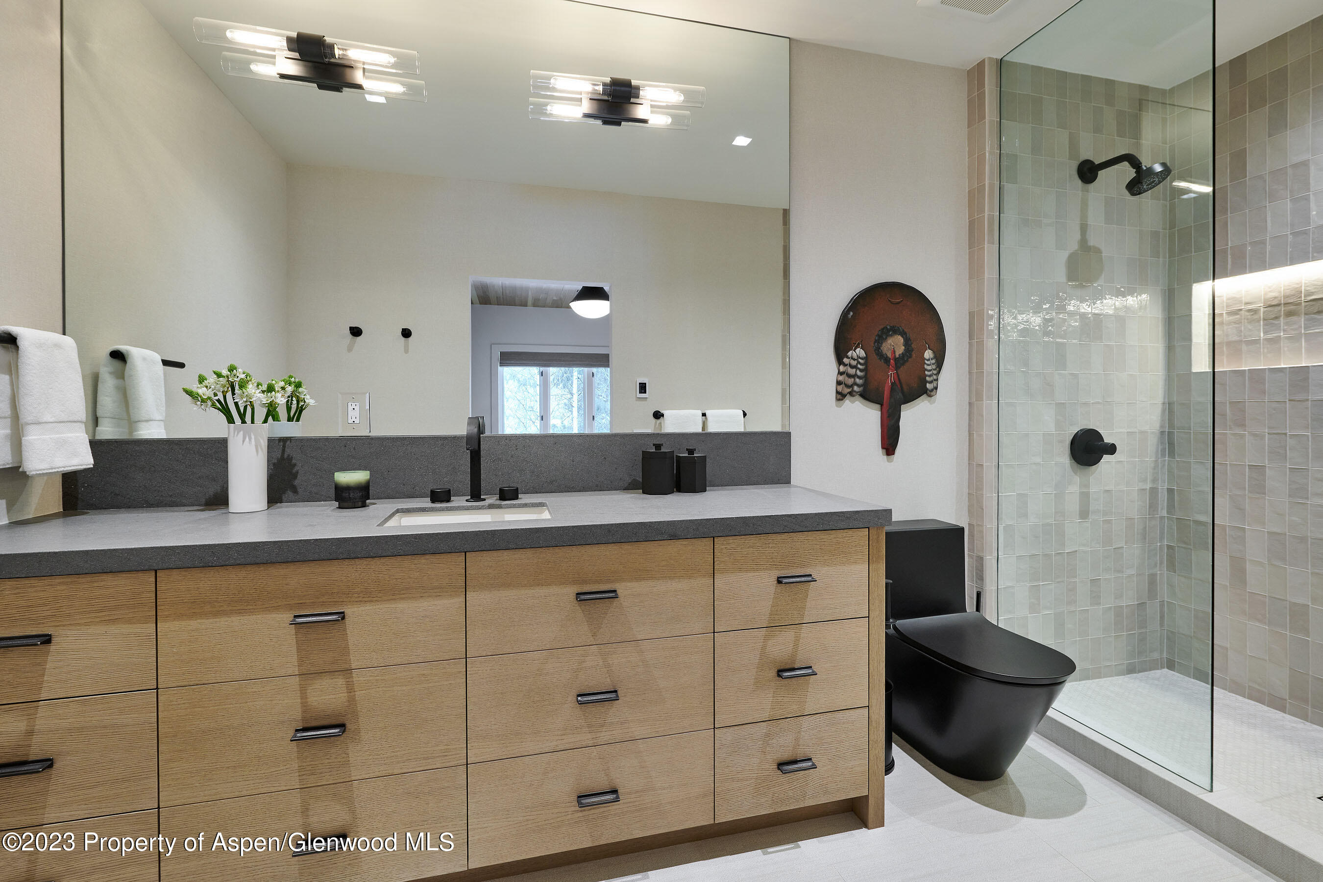 1271 Ute Avenue Aspen CO 81611