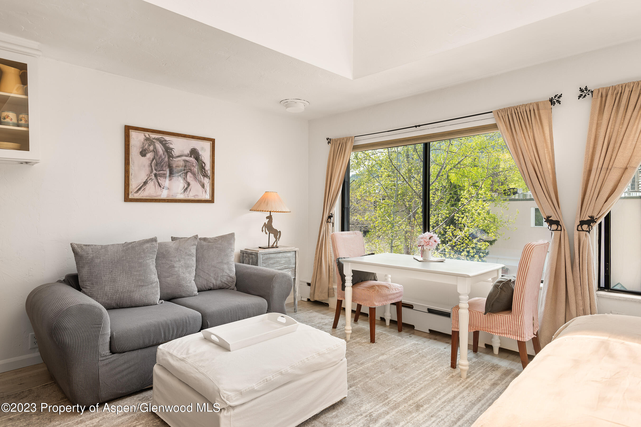 725 E Main Street Aspen CO 81611