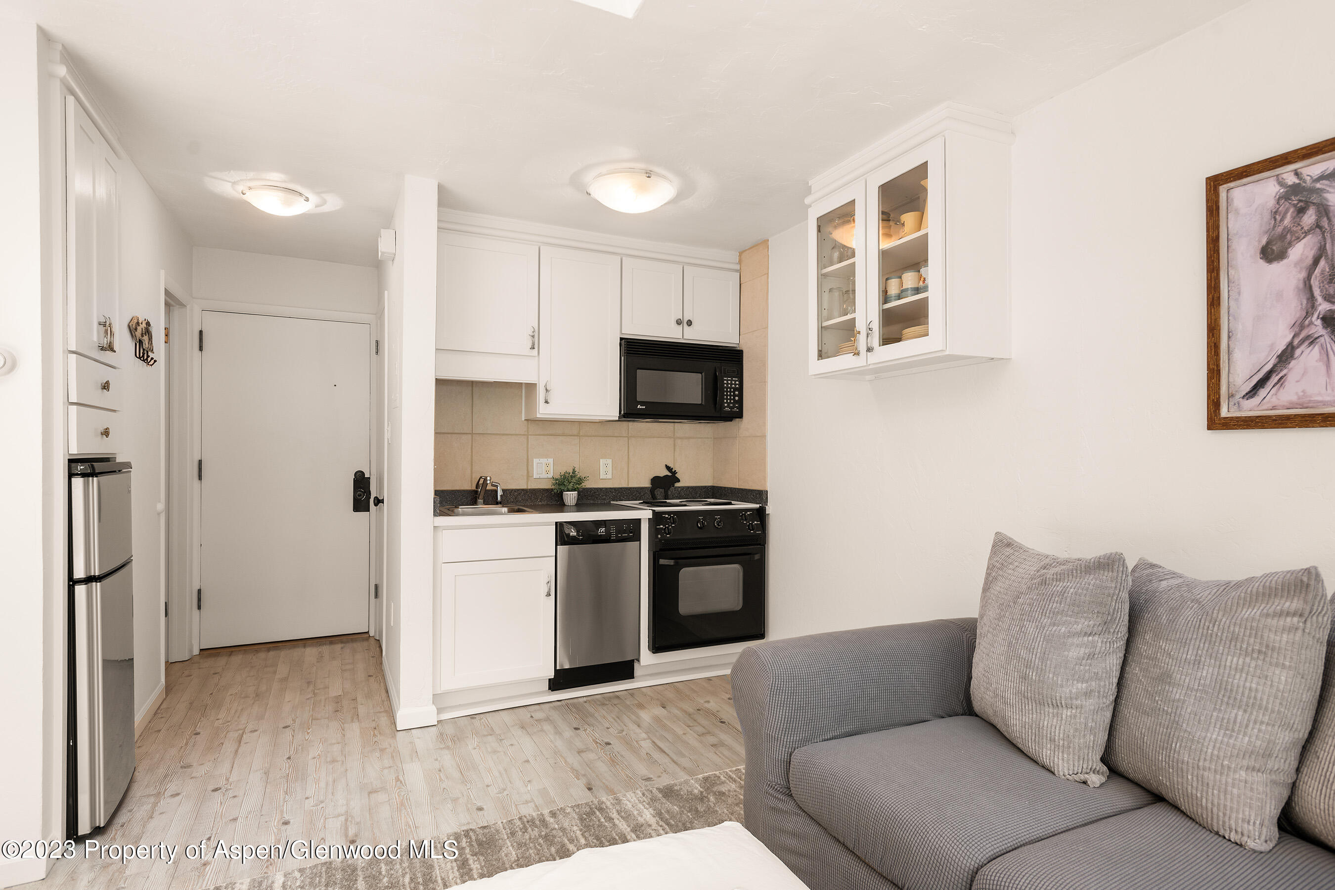 725 E Main Street Aspen CO 81611