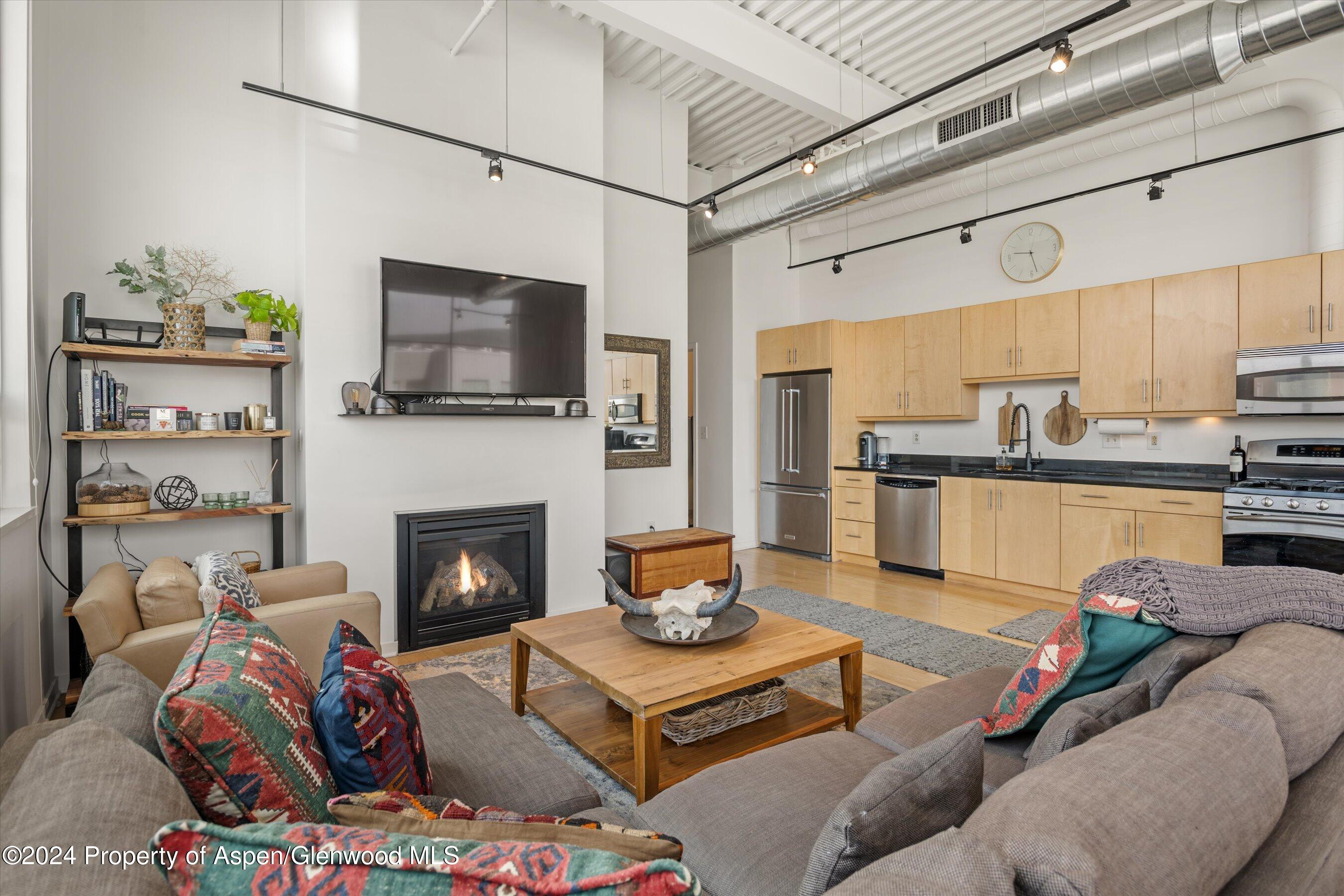 361 Robinson Street Basalt CO 81621