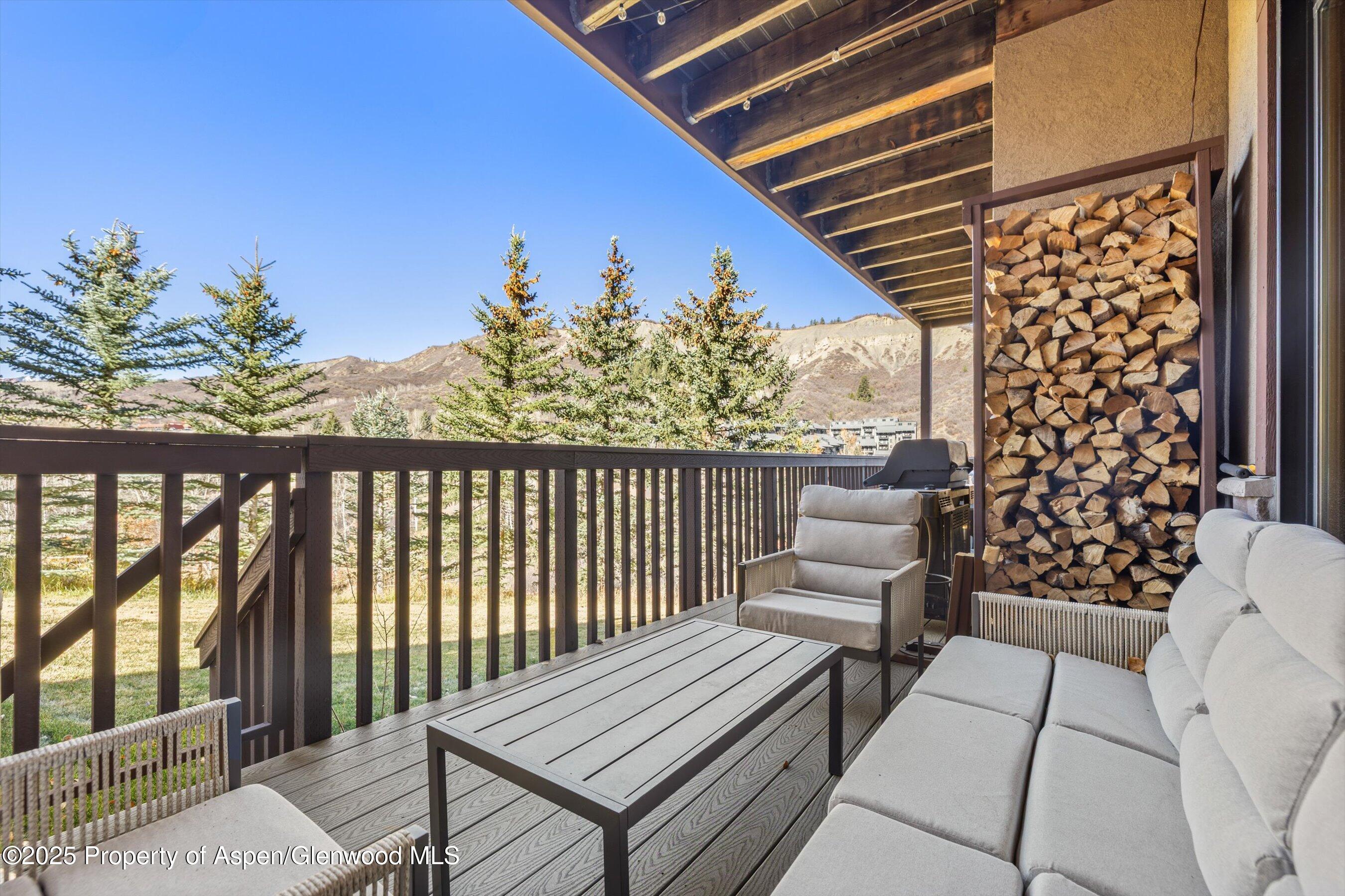 229 Faraway Road Snowmass Village CO 81615