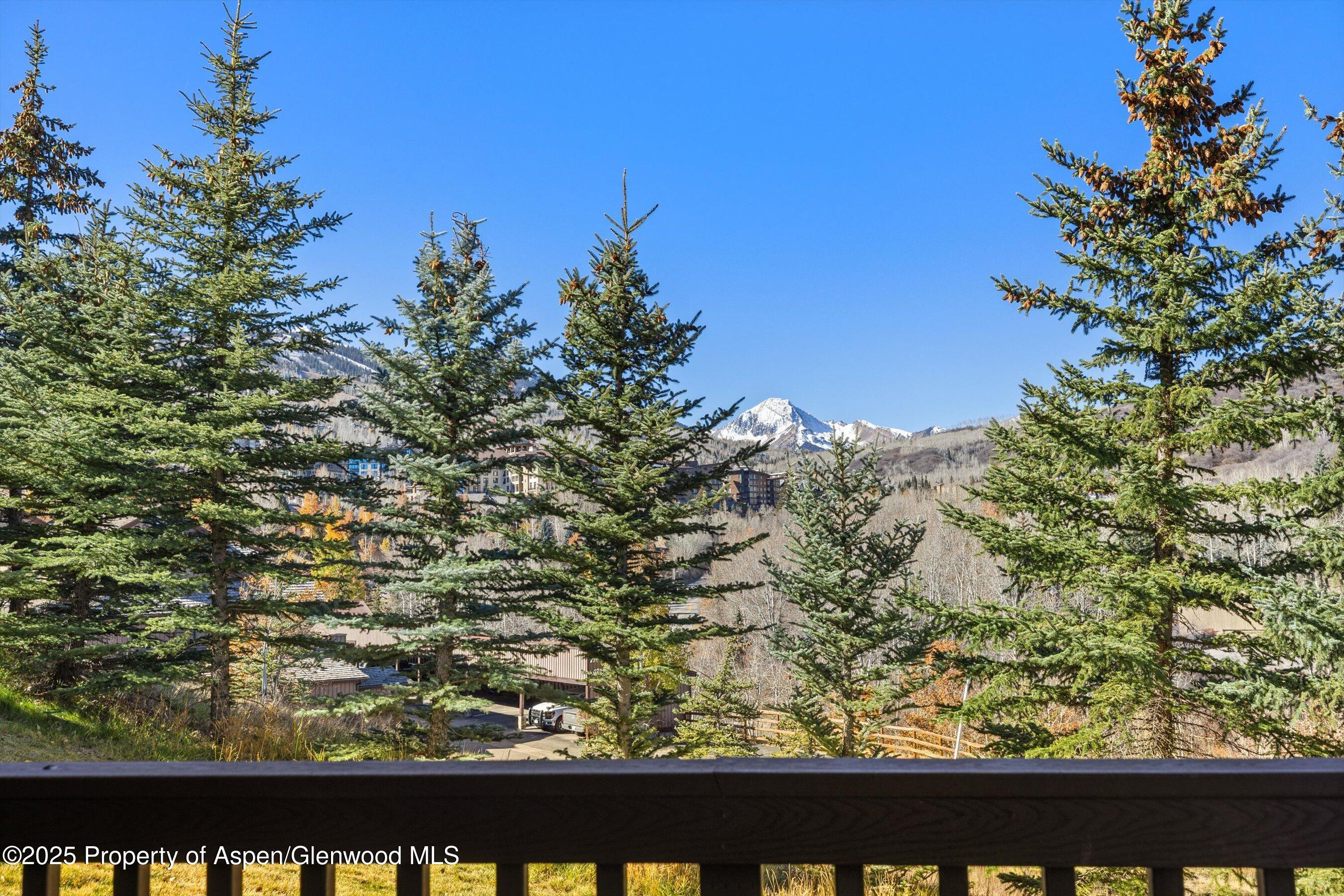 229 Faraway Road Snowmass Village CO 81615
