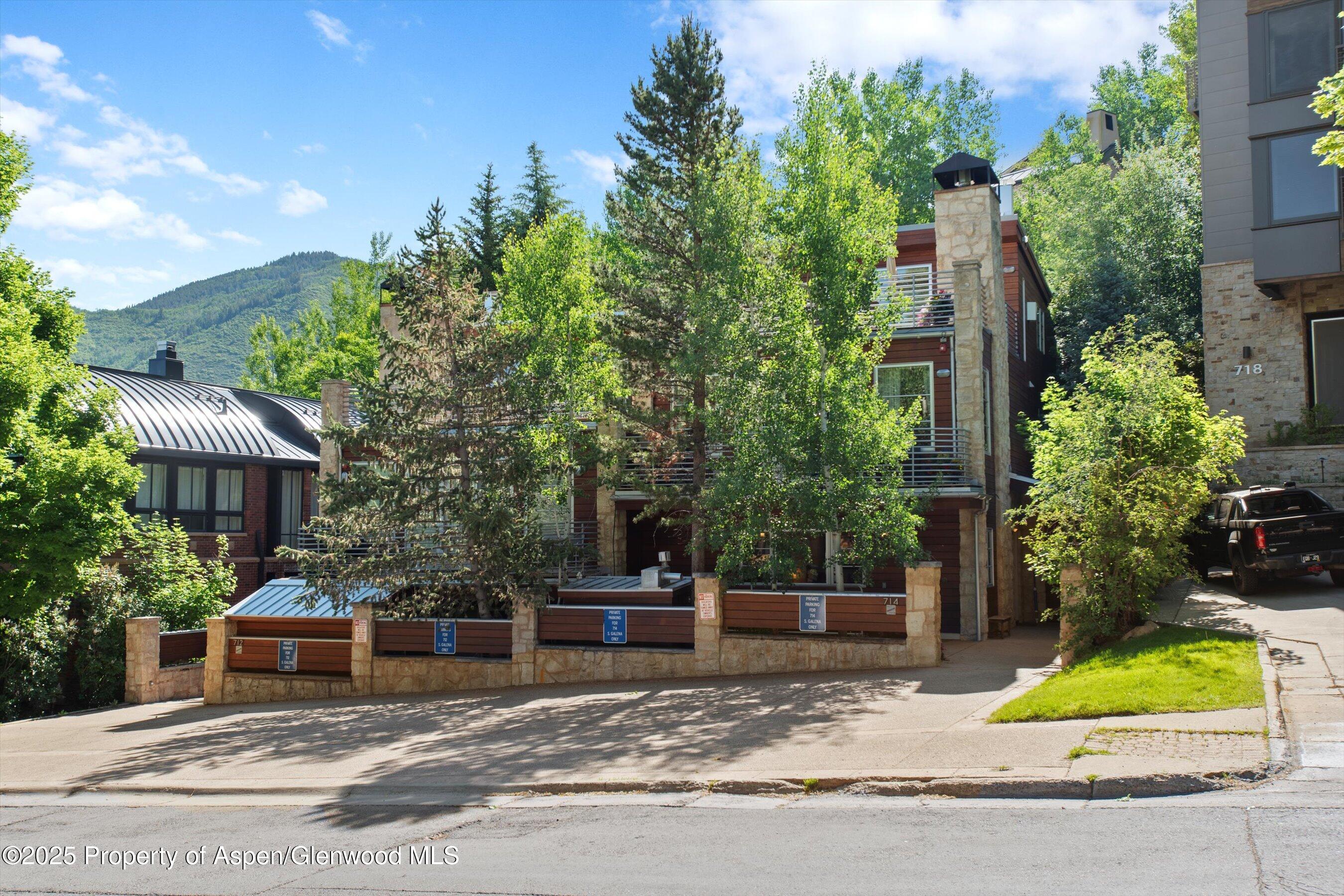 714 S Galena Street Aspen CO 81611