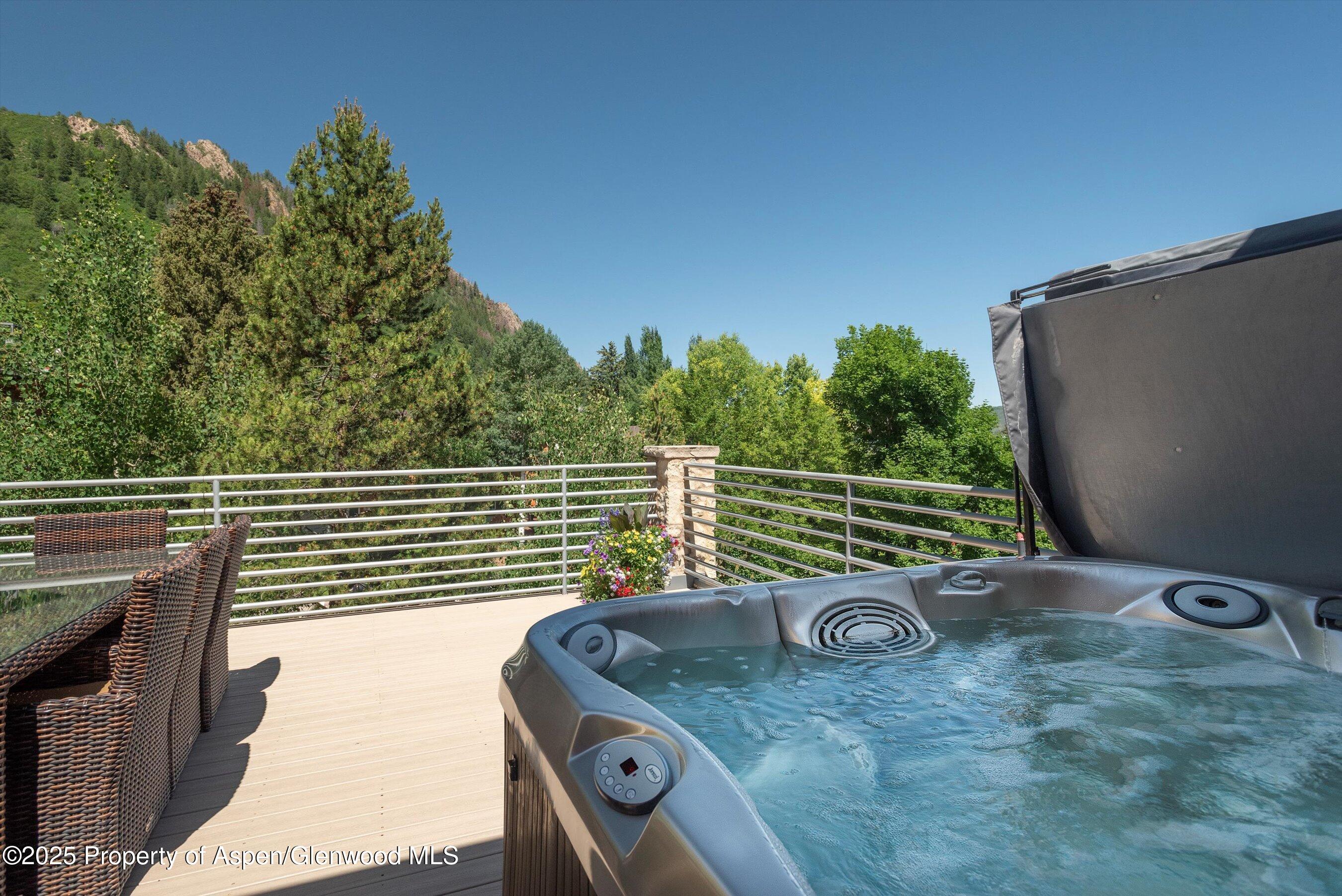 714 S Galena Street Aspen CO 81611