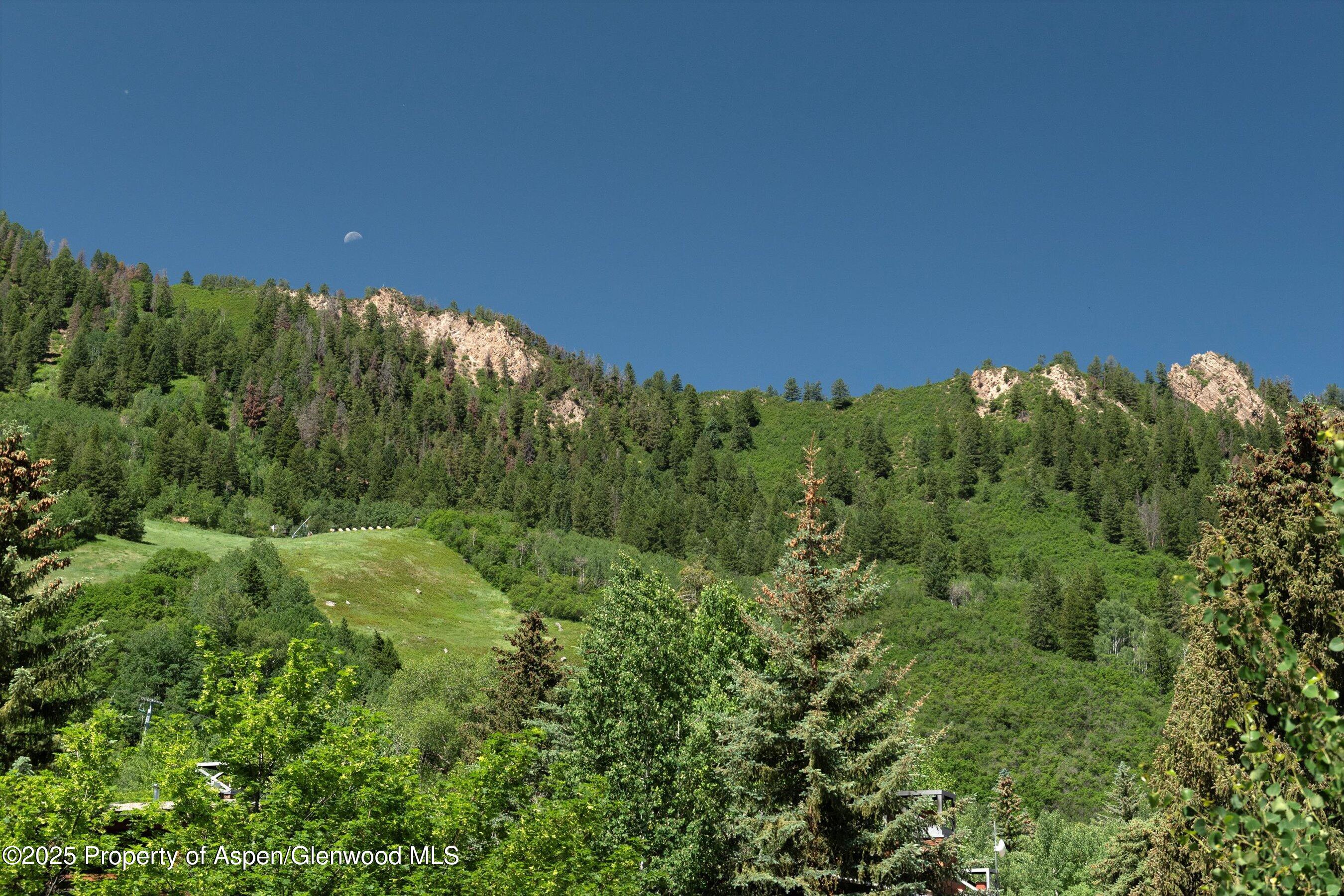 714 S Galena Street Aspen CO 81611