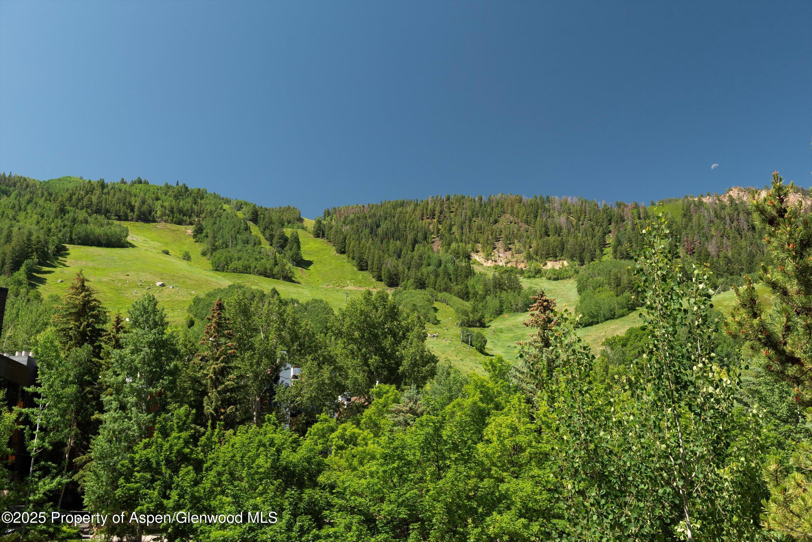 714 S Galena Street Aspen CO 81611