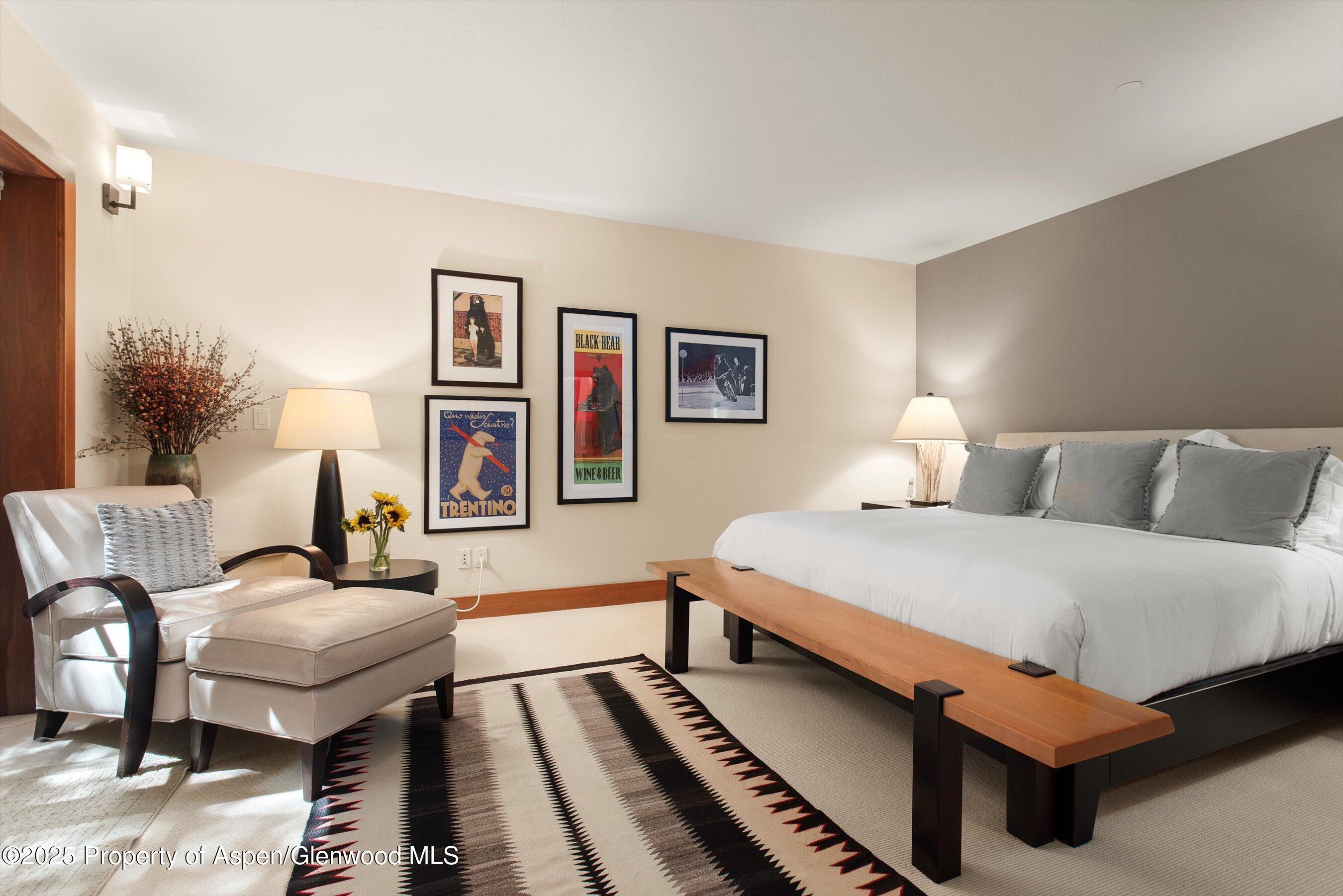 714 S Galena Street Aspen CO 81611