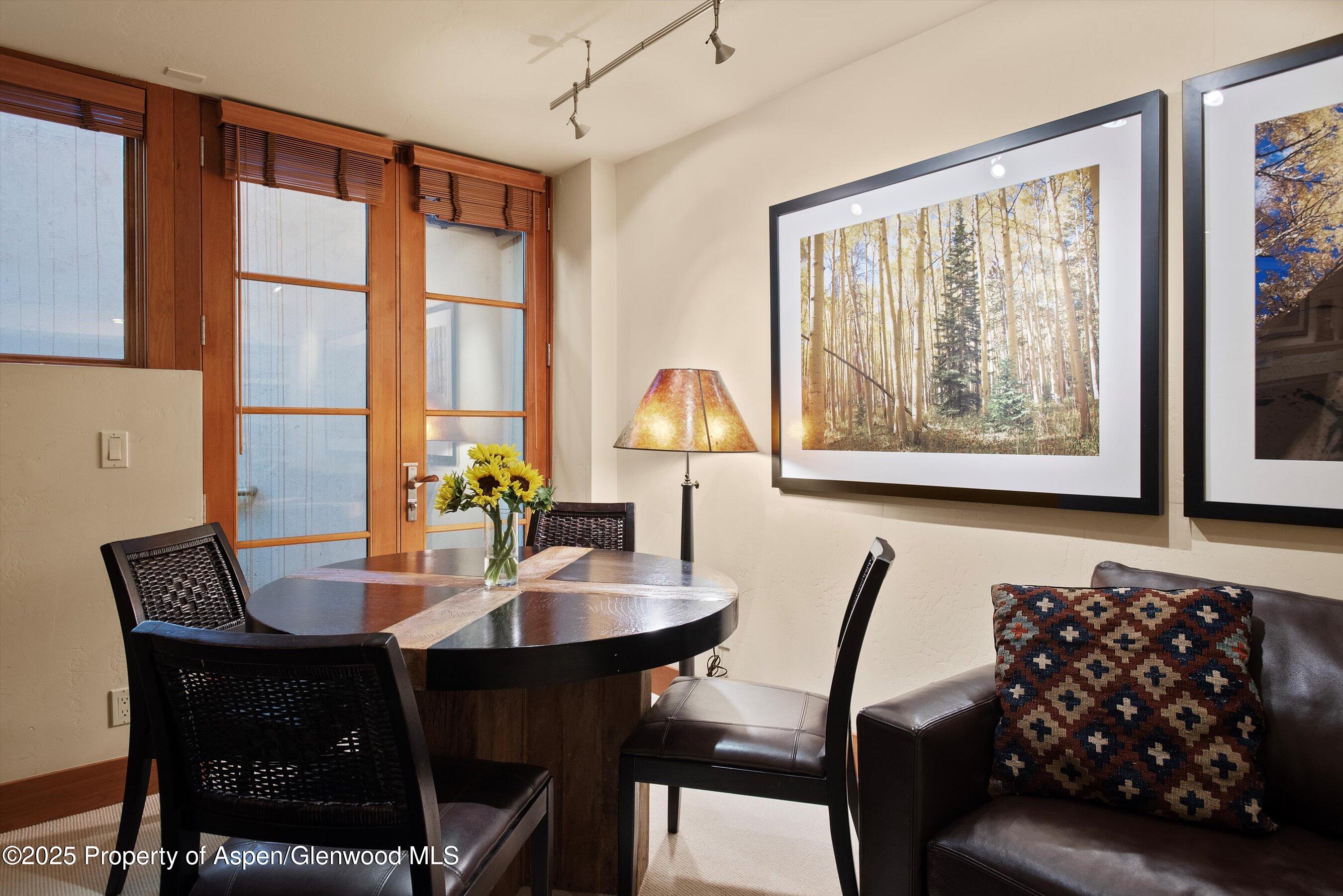 714 S Galena Street Aspen CO 81611