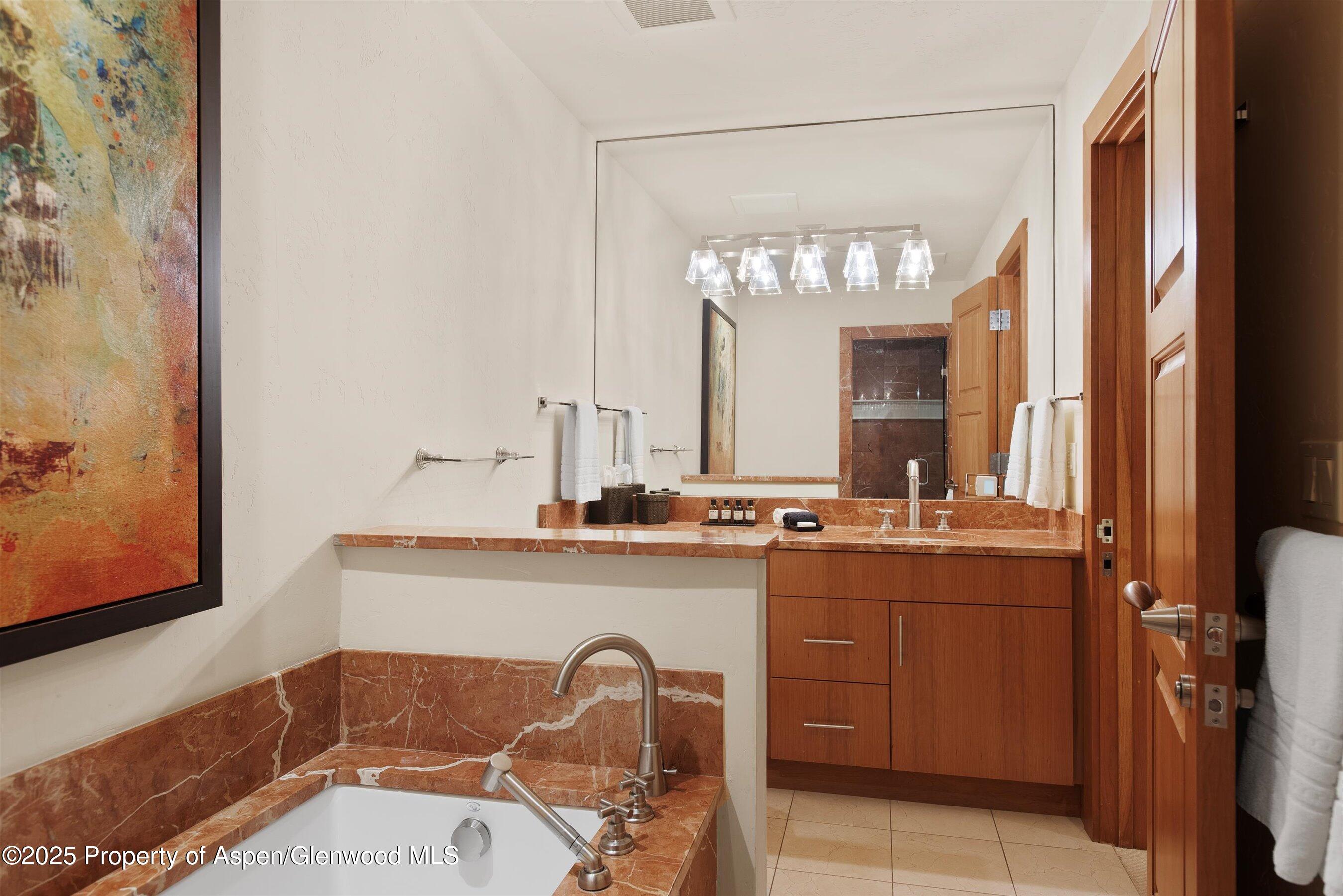 714 S Galena Street Aspen CO 81611