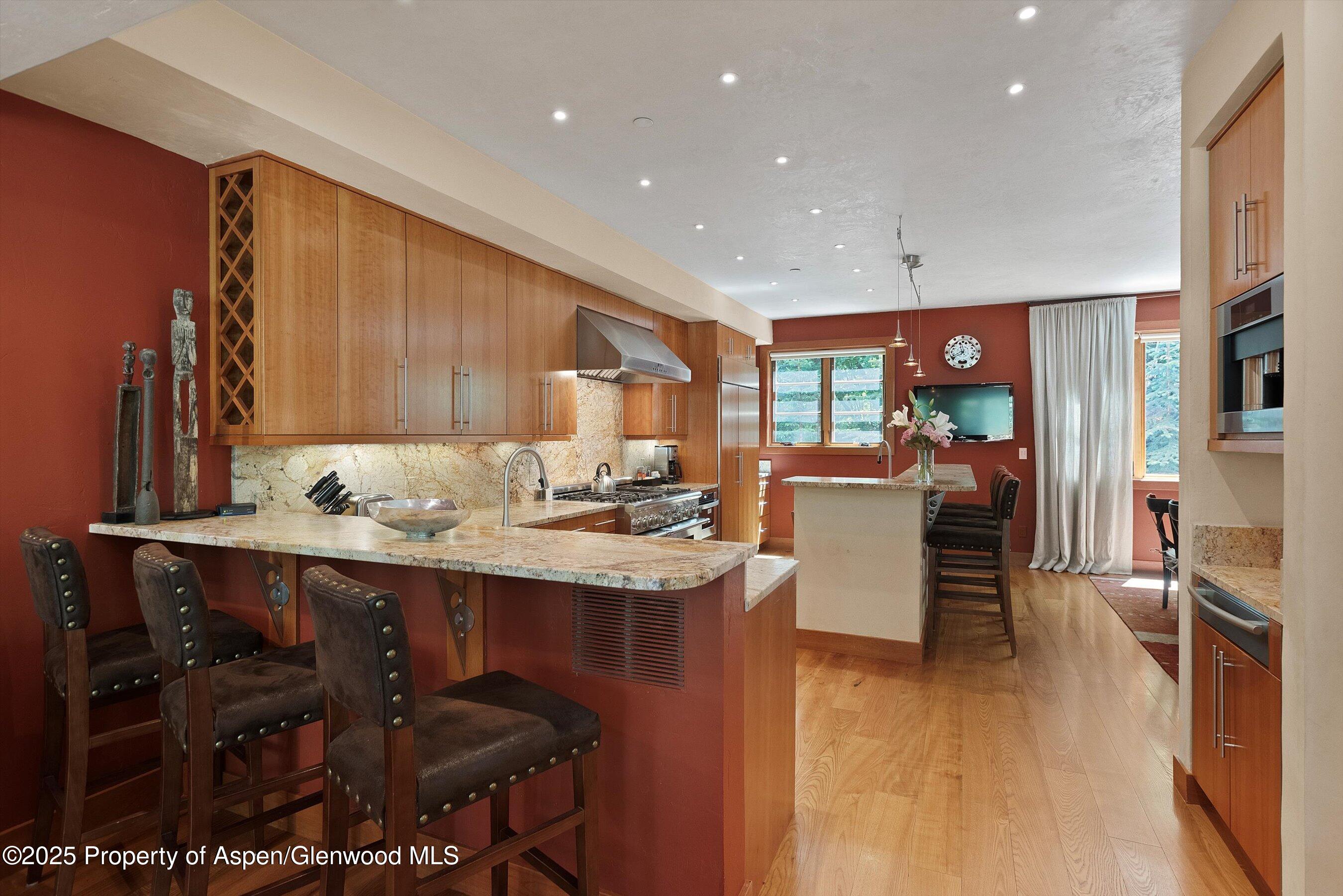 714 S Galena Street Aspen CO 81611