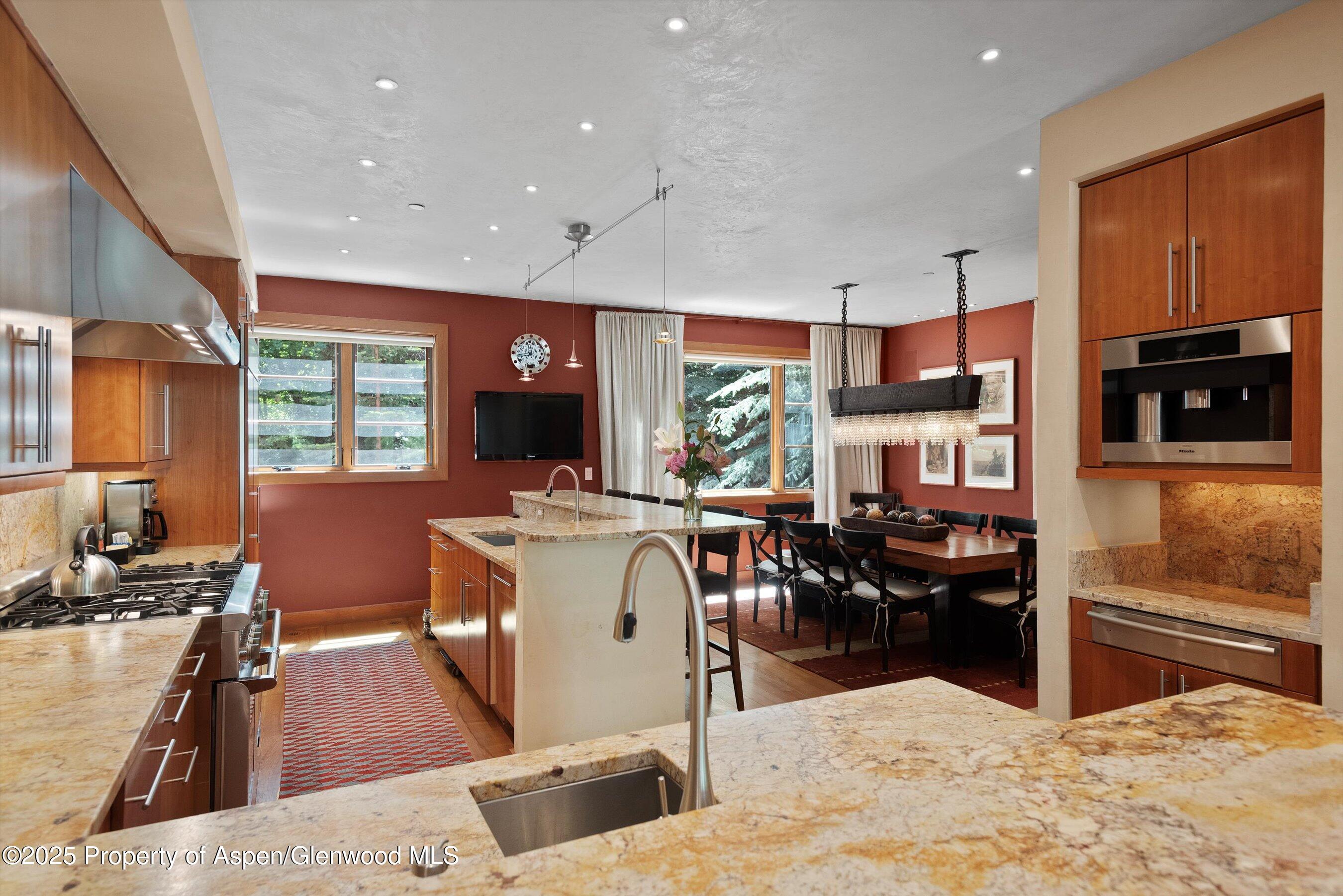 714 S Galena Street Aspen CO 81611