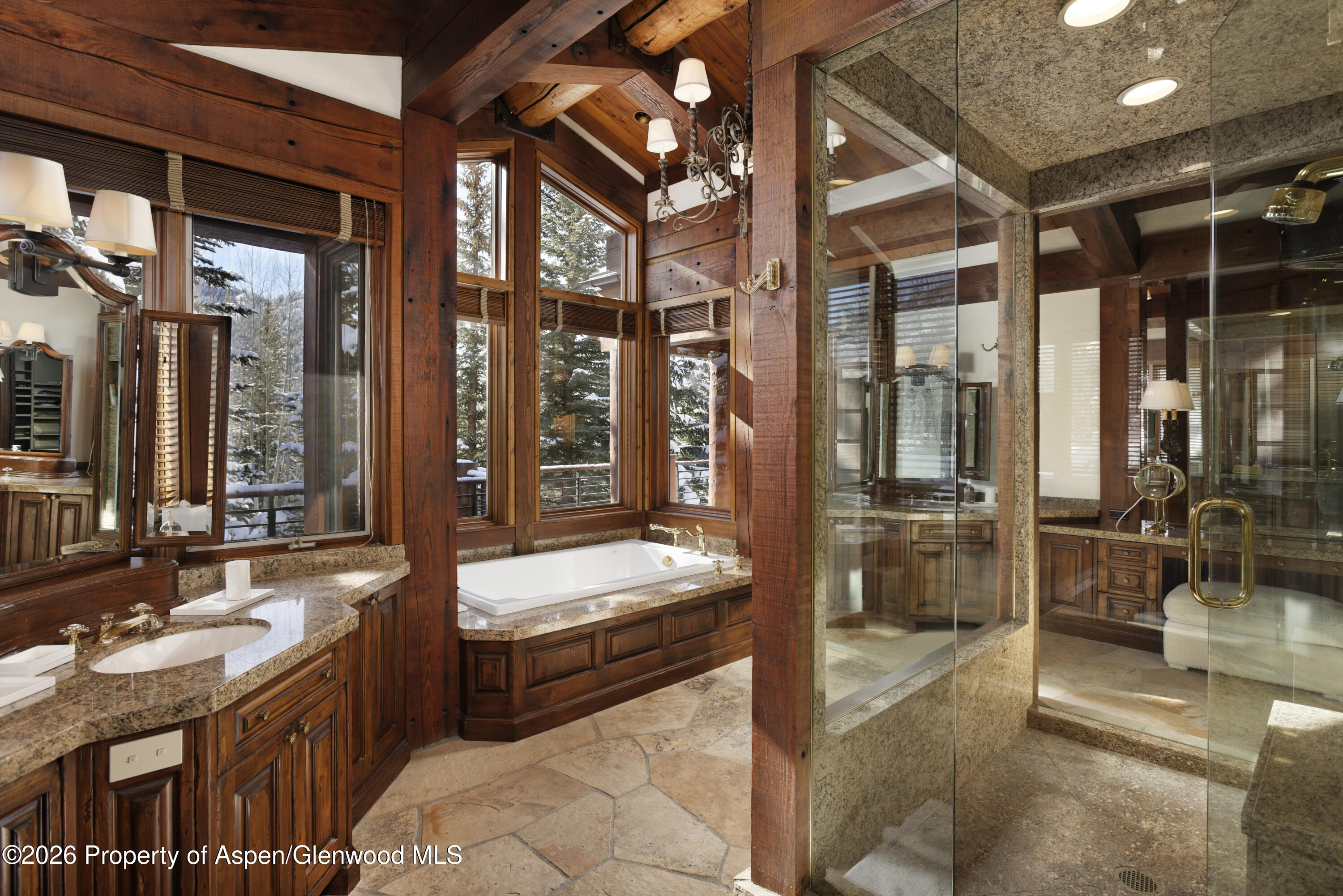 411 Willoughby Way Aspen CO 81611