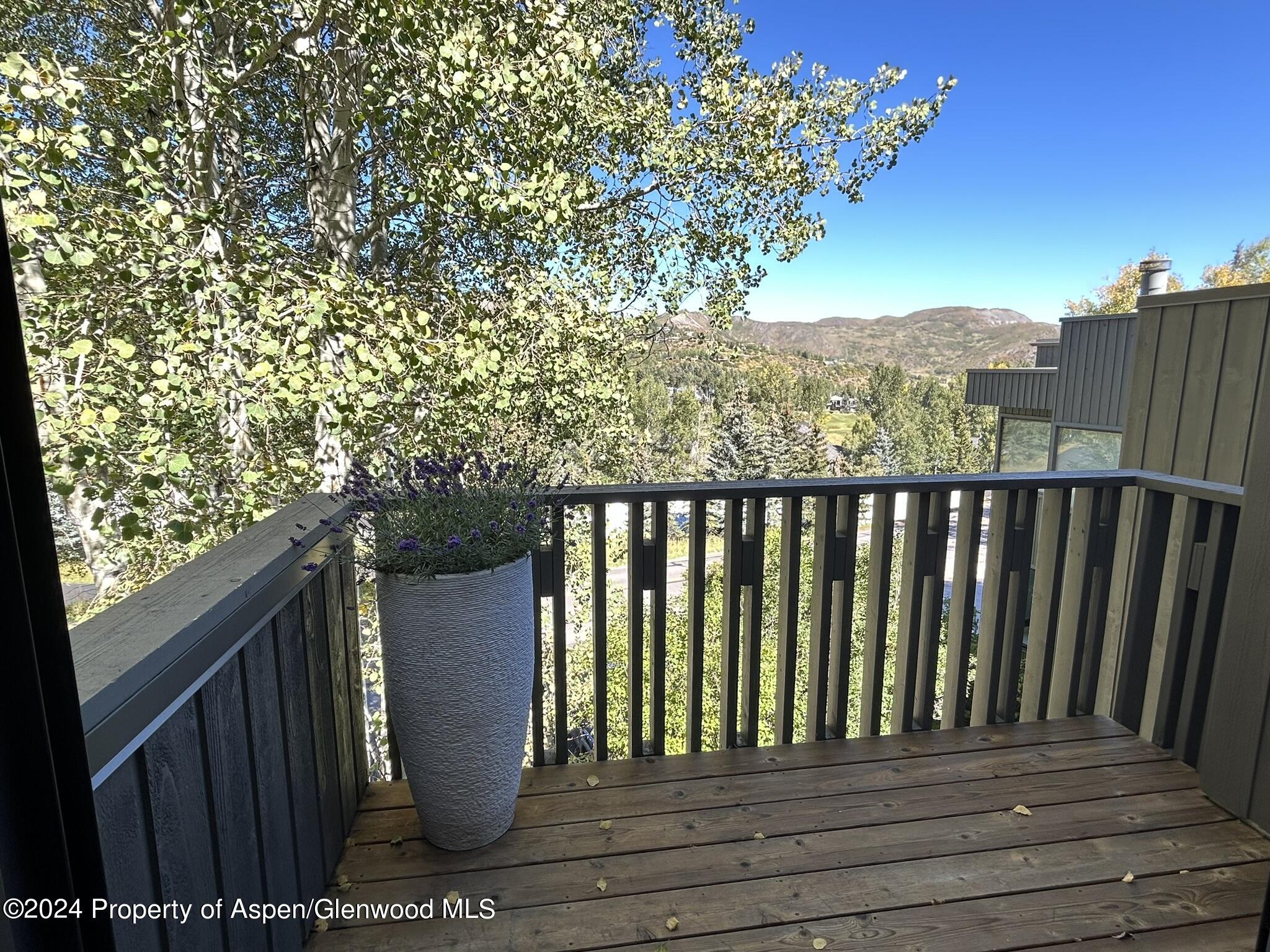 330 Meadow Ranch Road Snowmass Village CO 81615