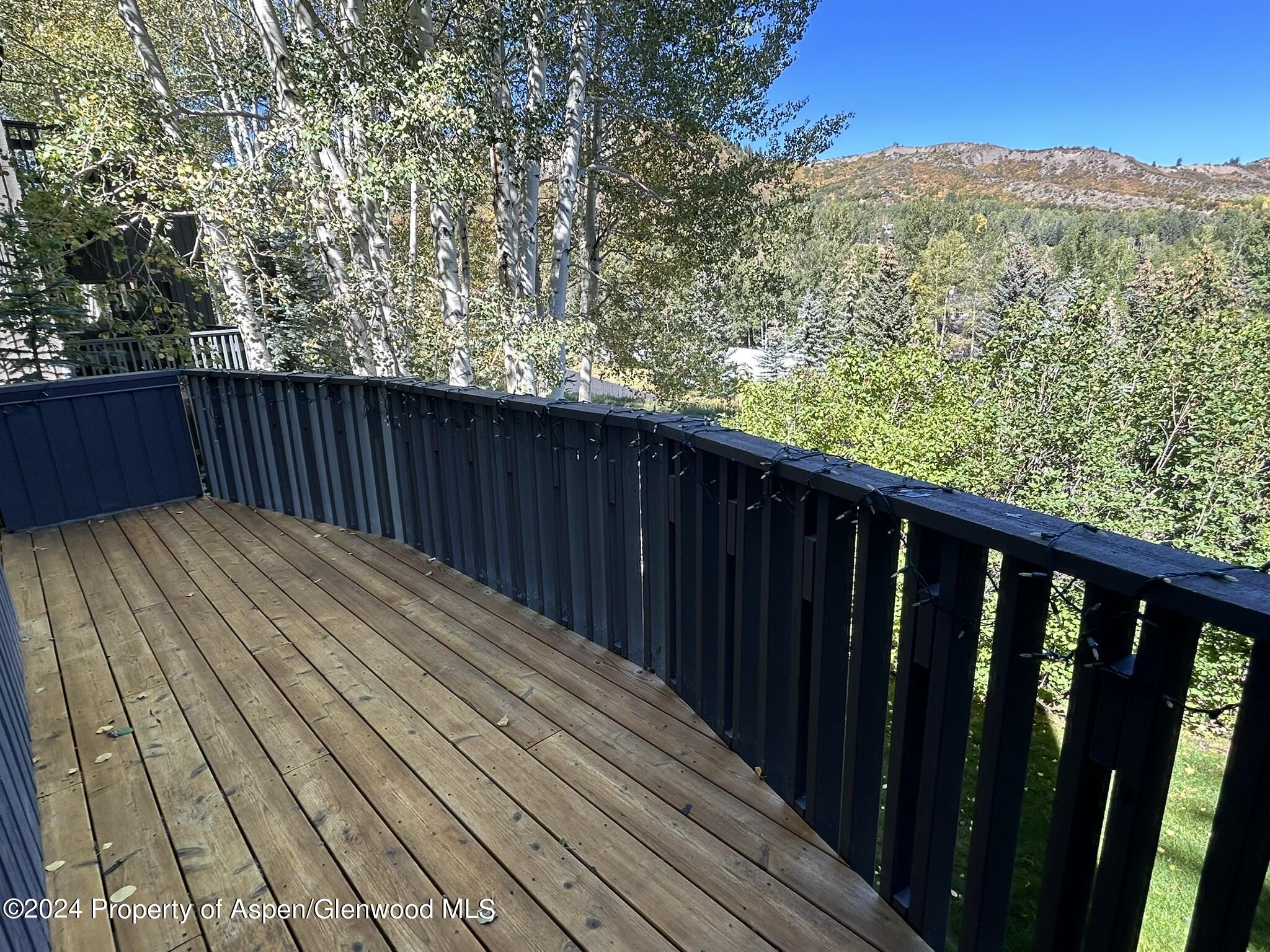 330 Meadow Ranch Road Snowmass Village CO 81615