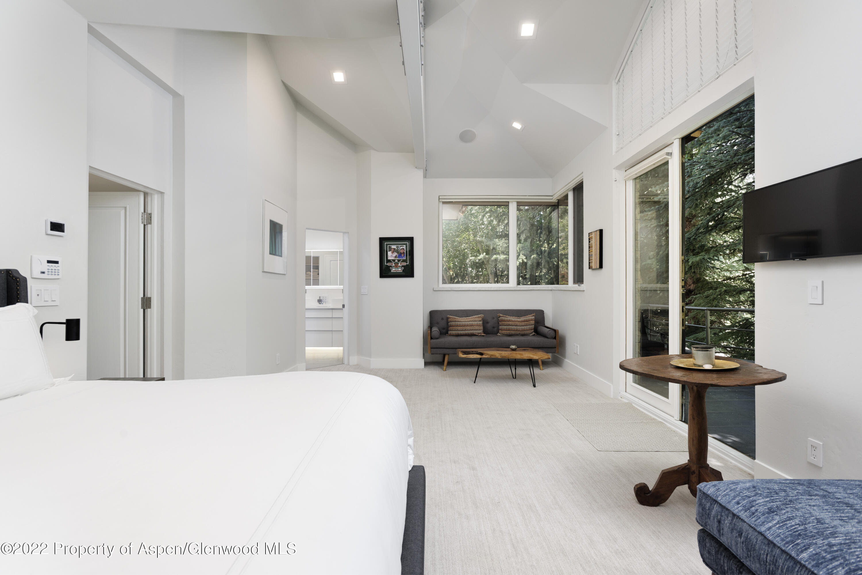 736 W Smuggler Street Aspen CO 81611