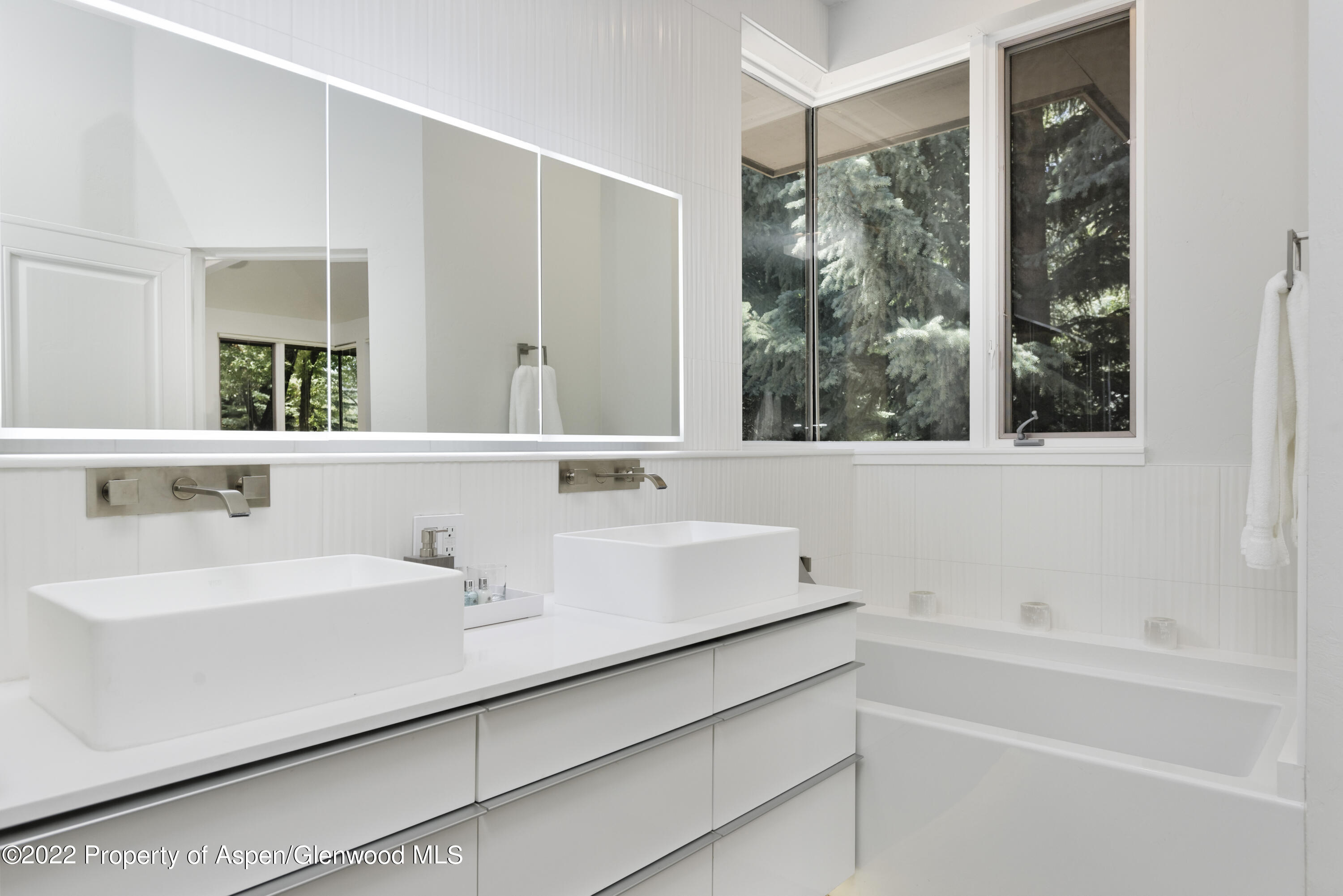 736 W Smuggler Street Aspen CO 81611