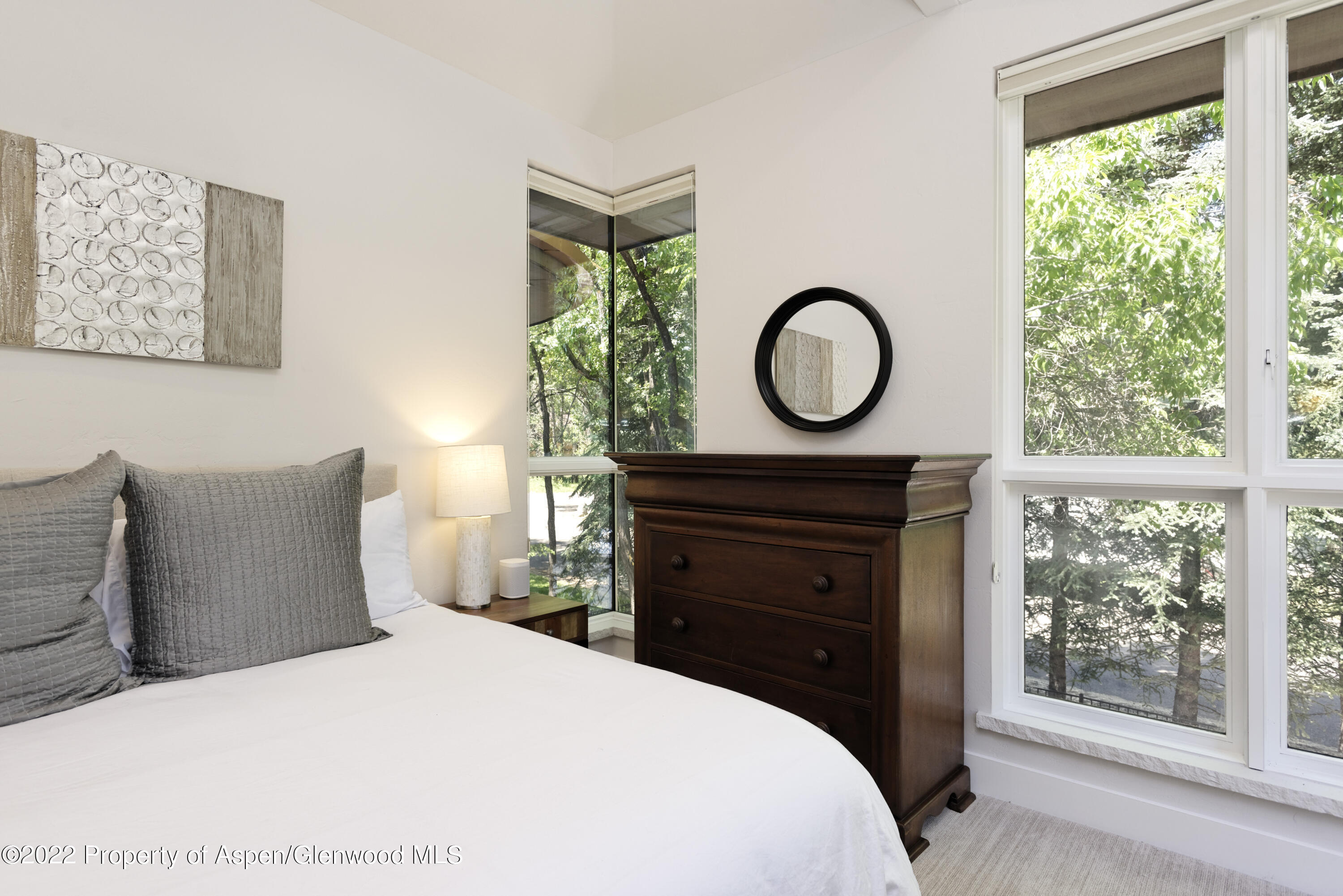 736 W Smuggler Street Aspen CO 81611