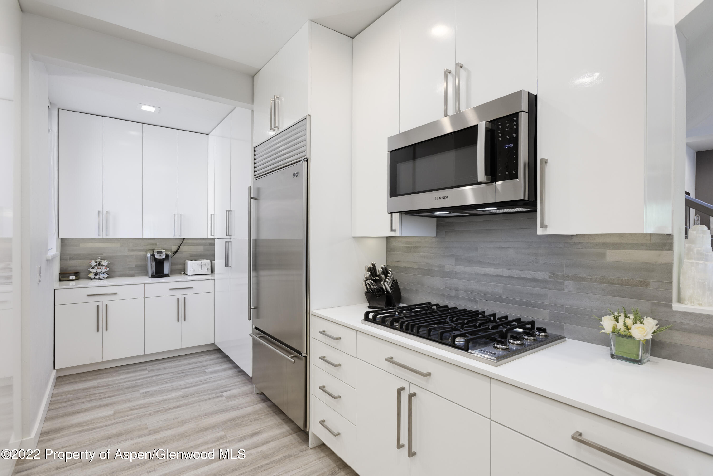 736 W Smuggler Street Aspen CO 81611