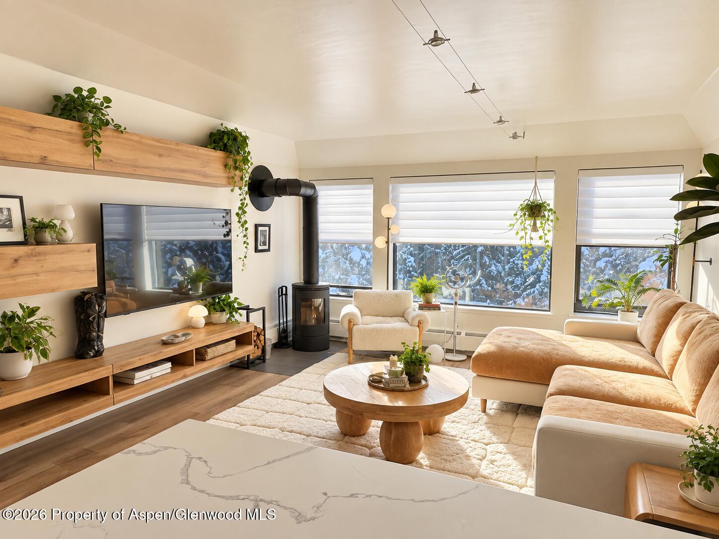 Aspen CO, 942 Vine Street